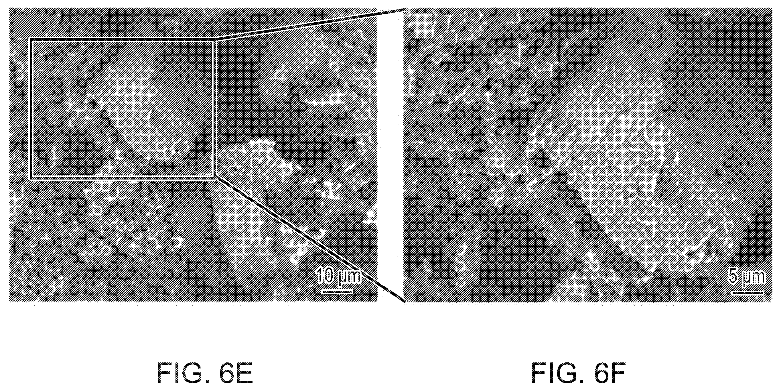 Patent US12472285 Figure 10 – Eggshell particle containing hydrogels and prepolymer compositions for biomedical applications