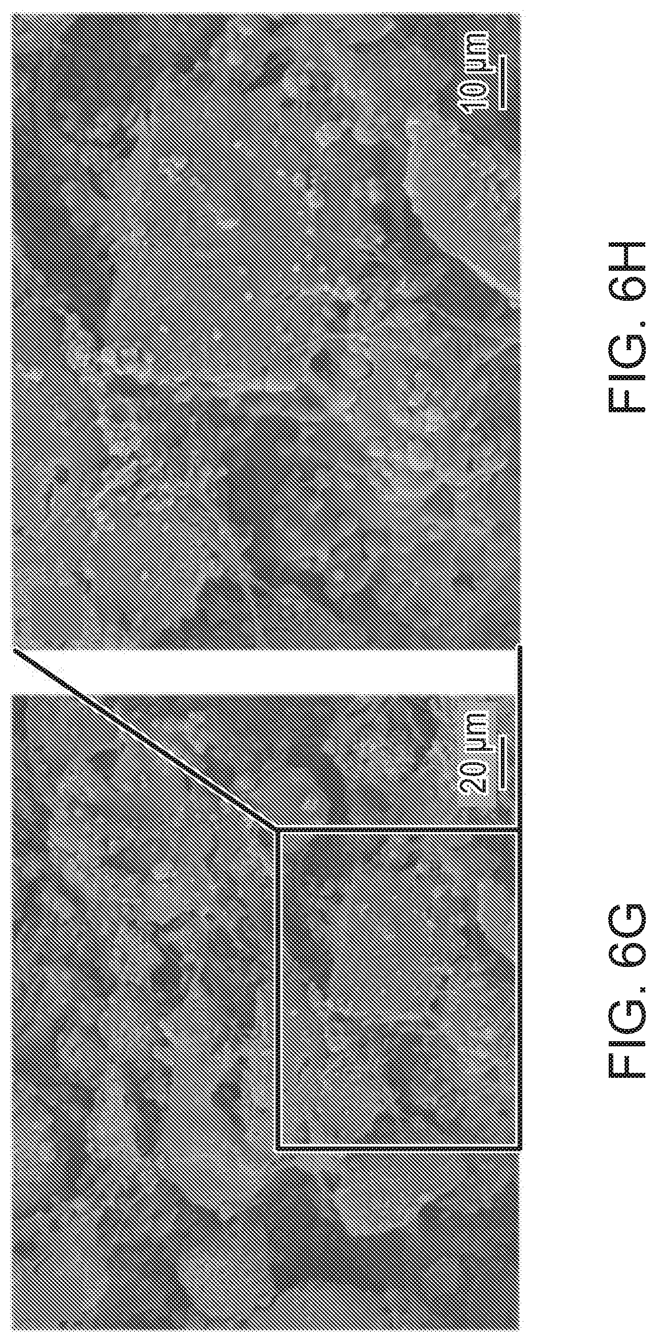 Patent US12472285 Figure 11 – Eggshell particle containing hydrogels and prepolymer compositions for biomedical applications
