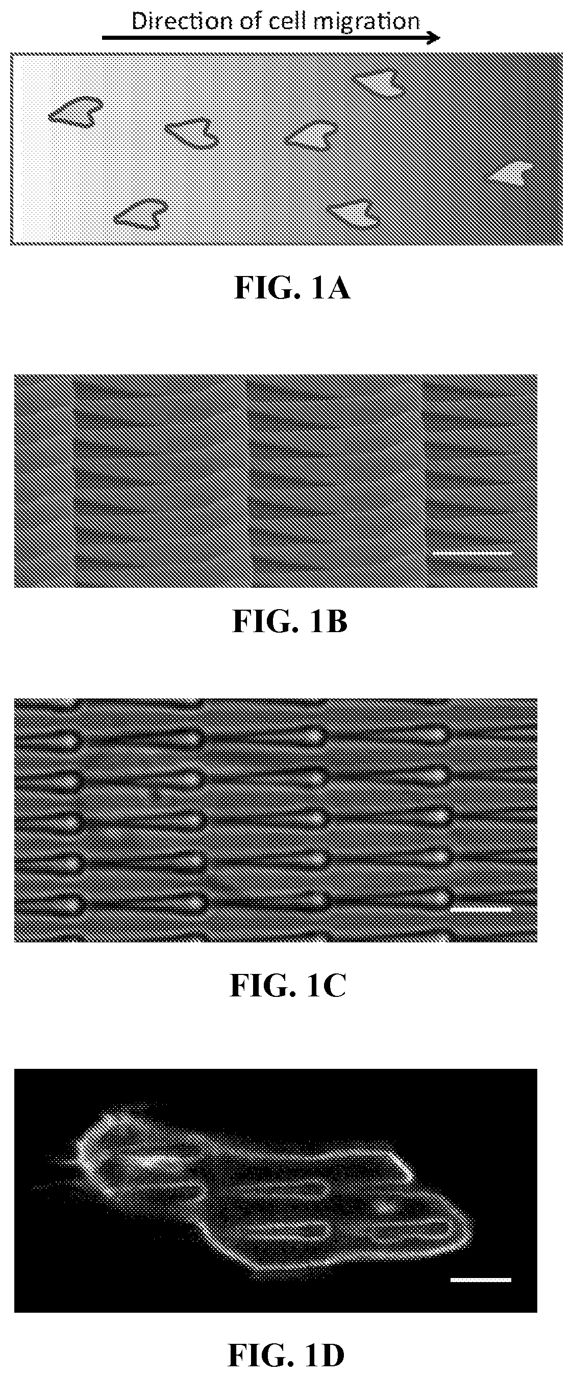Patent US12472286 Figure 1 – Compositions comprising textured patterns and methods of using the same