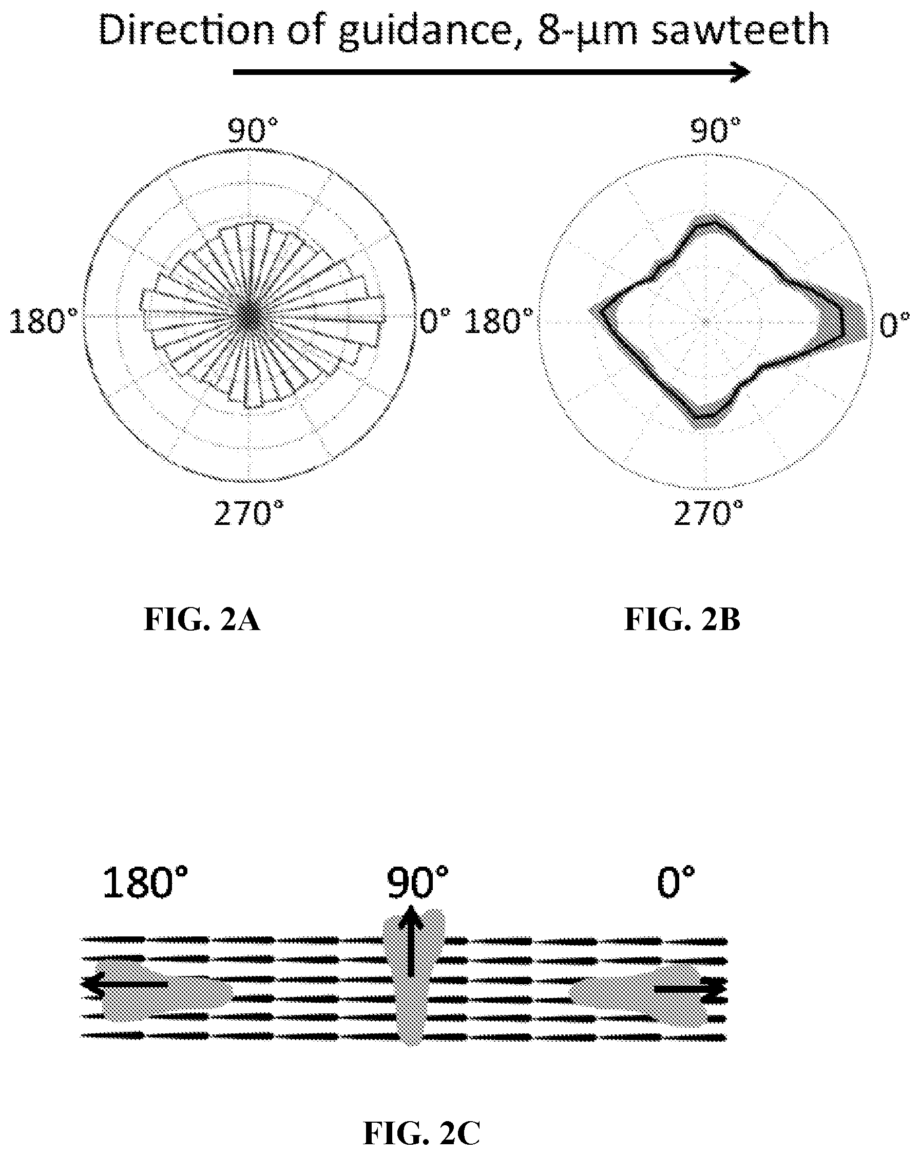 Patent US12472286 Figure 3 – Compositions comprising textured patterns and methods of using the same