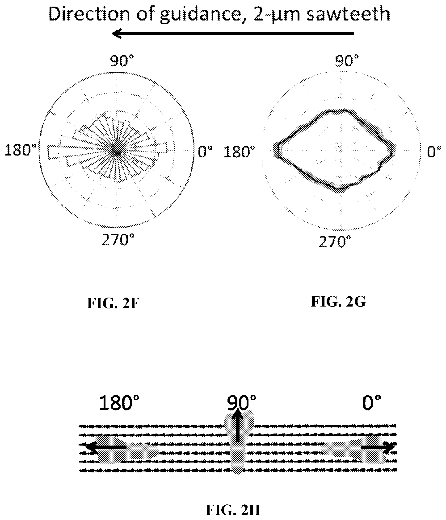 Patent US12472286 Figure 5 – Compositions comprising textured patterns and methods of using the same