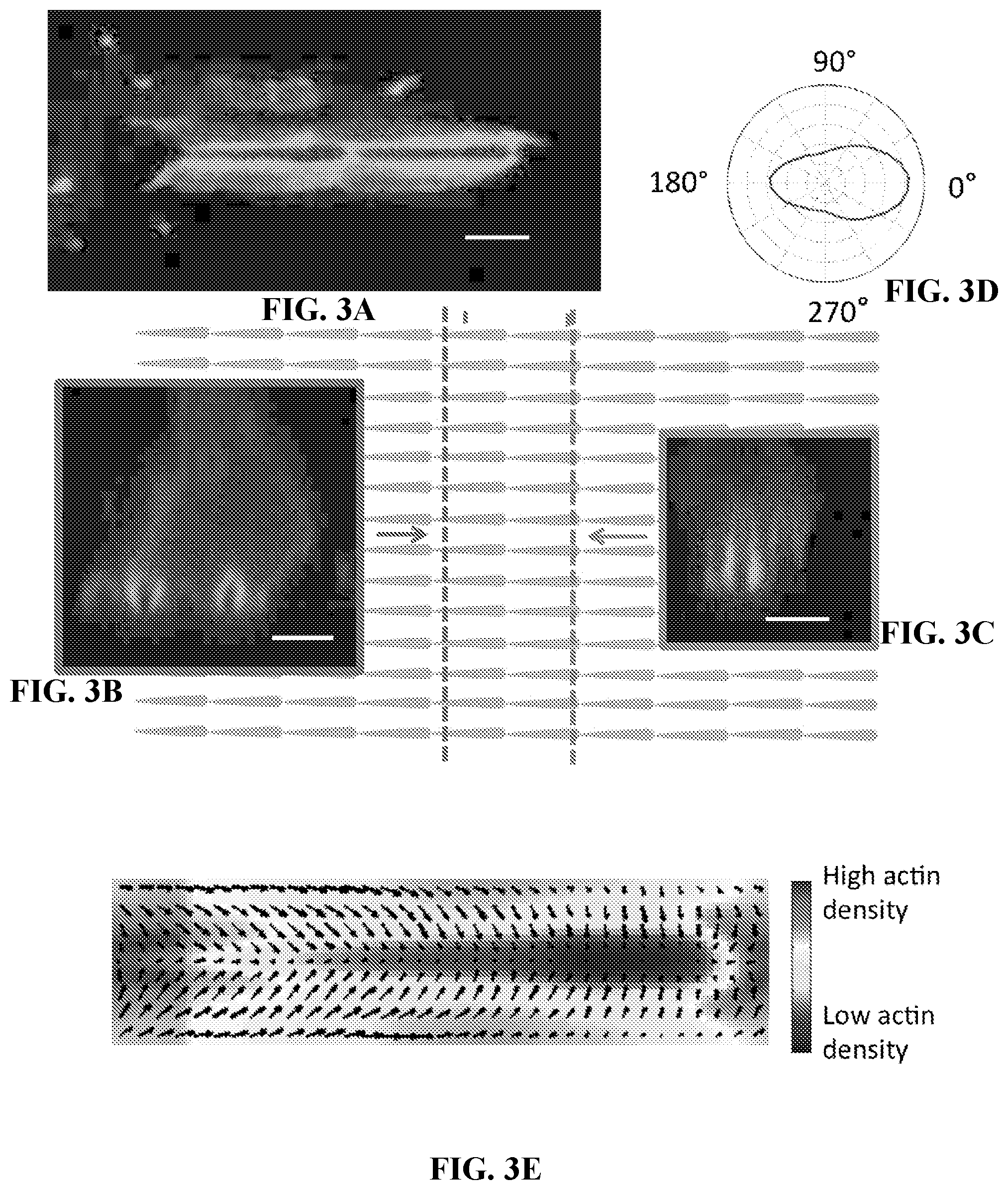 Patent US12472286 Figure 7 – Compositions comprising textured patterns and methods of using the same