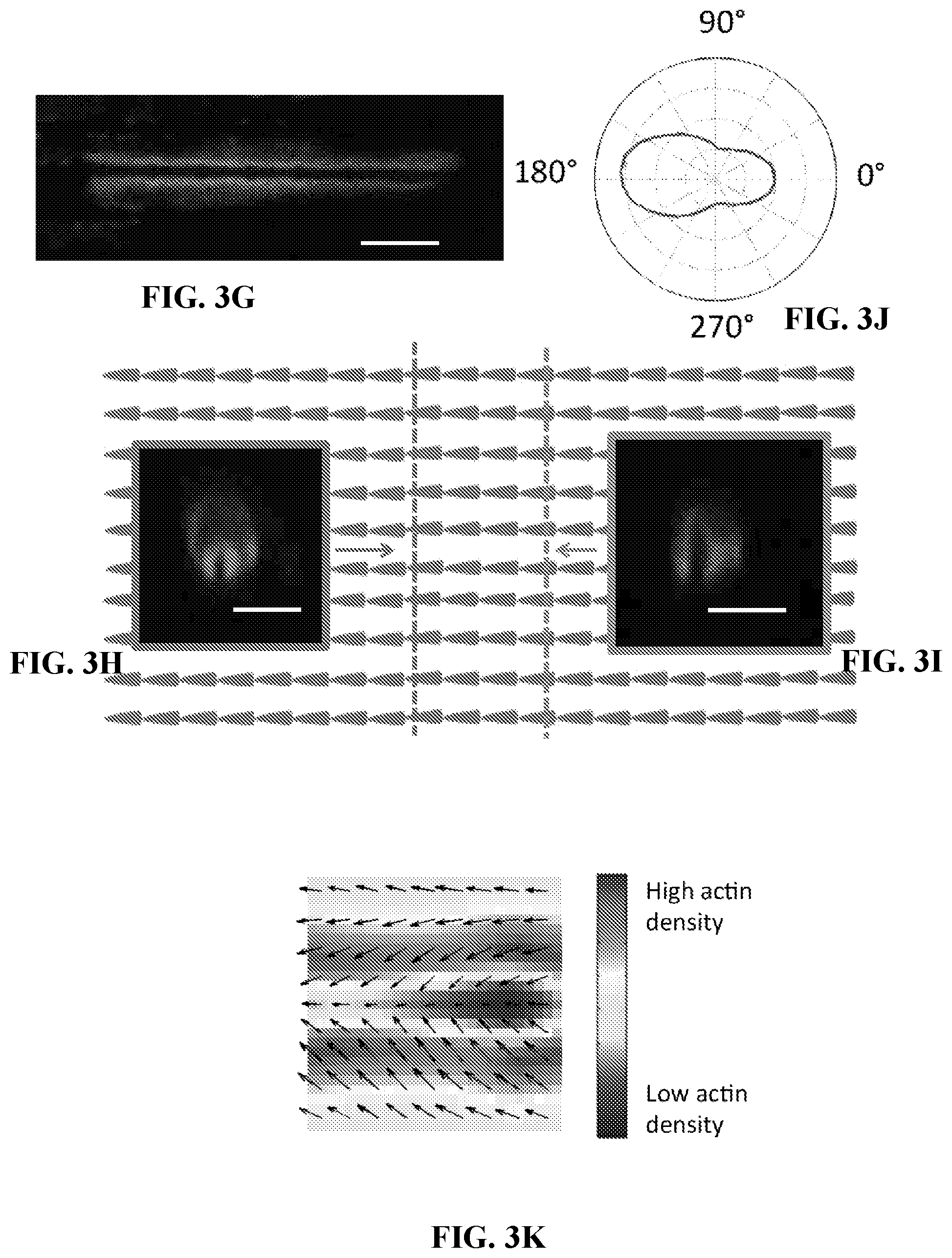 Patent US12472286 Figure 9 – Compositions comprising textured patterns and methods of using the same