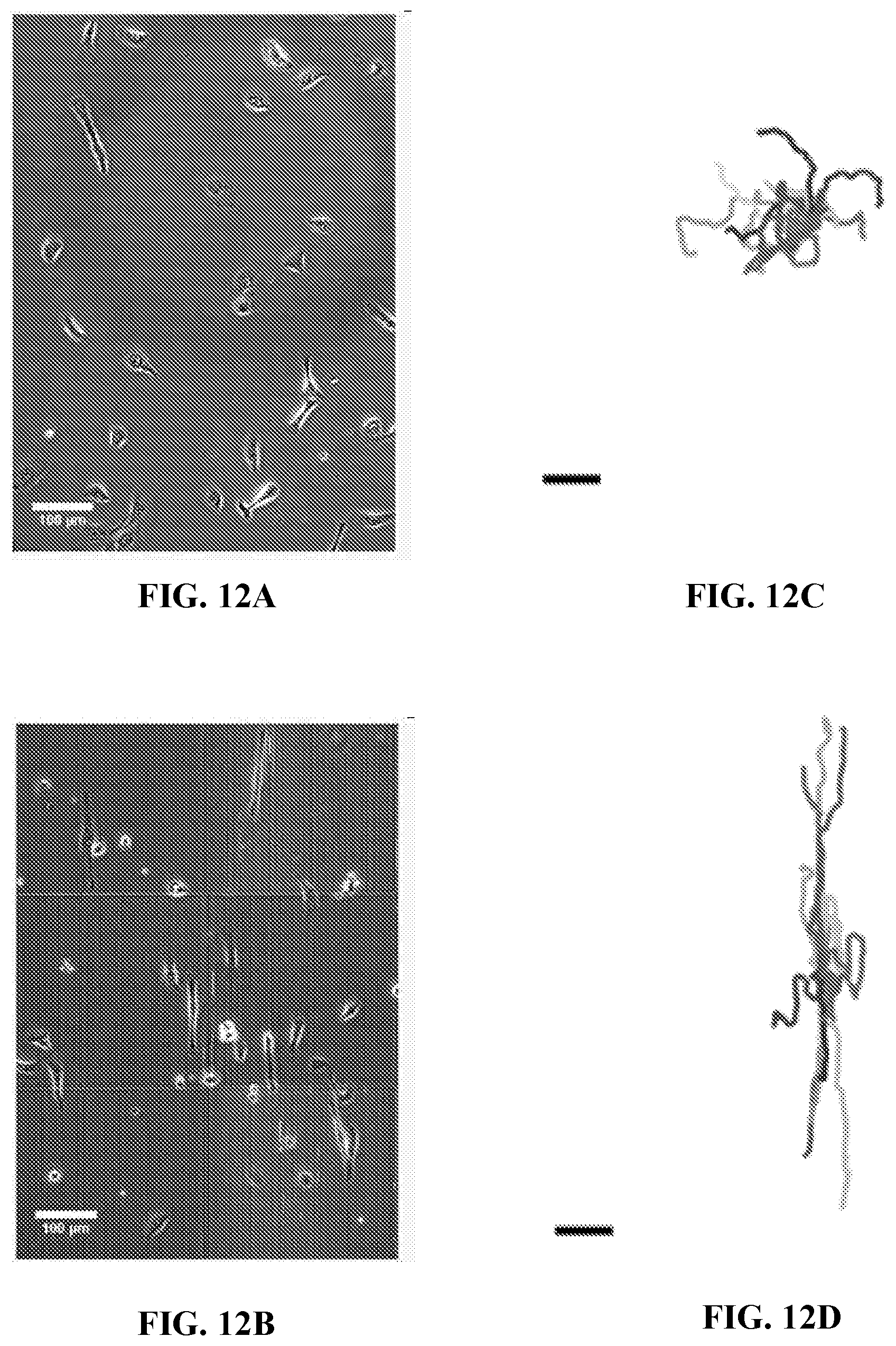 Patent US12472286 Figure 17 – Compositions comprising textured patterns and methods of using the same
