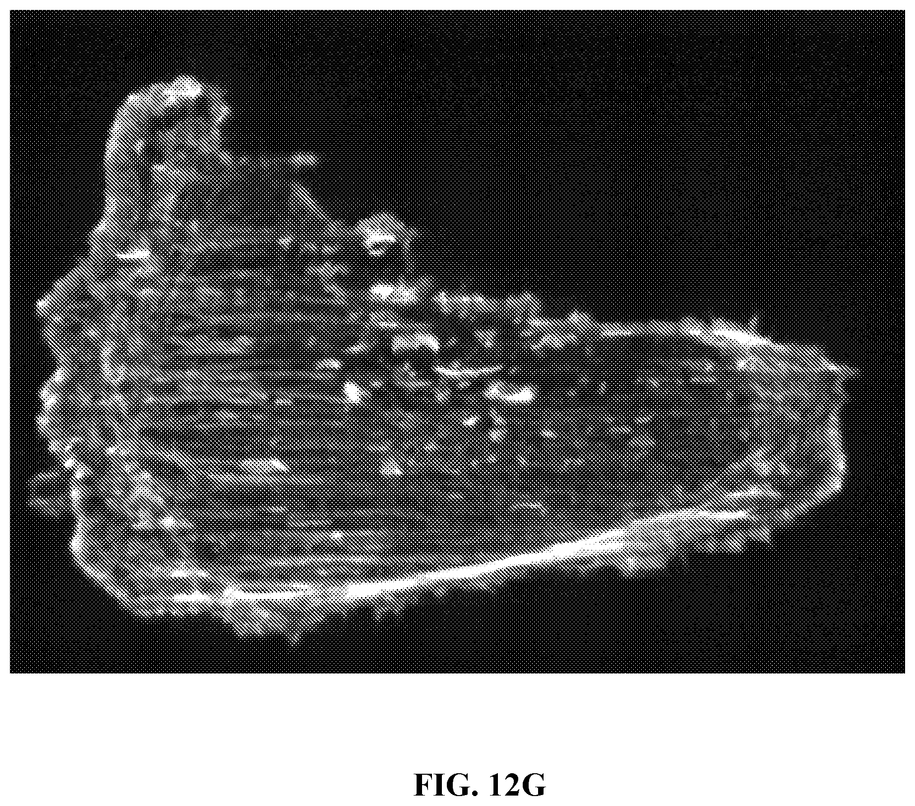 Patent US12472286 Figure 19 – Compositions comprising textured patterns and methods of using the same