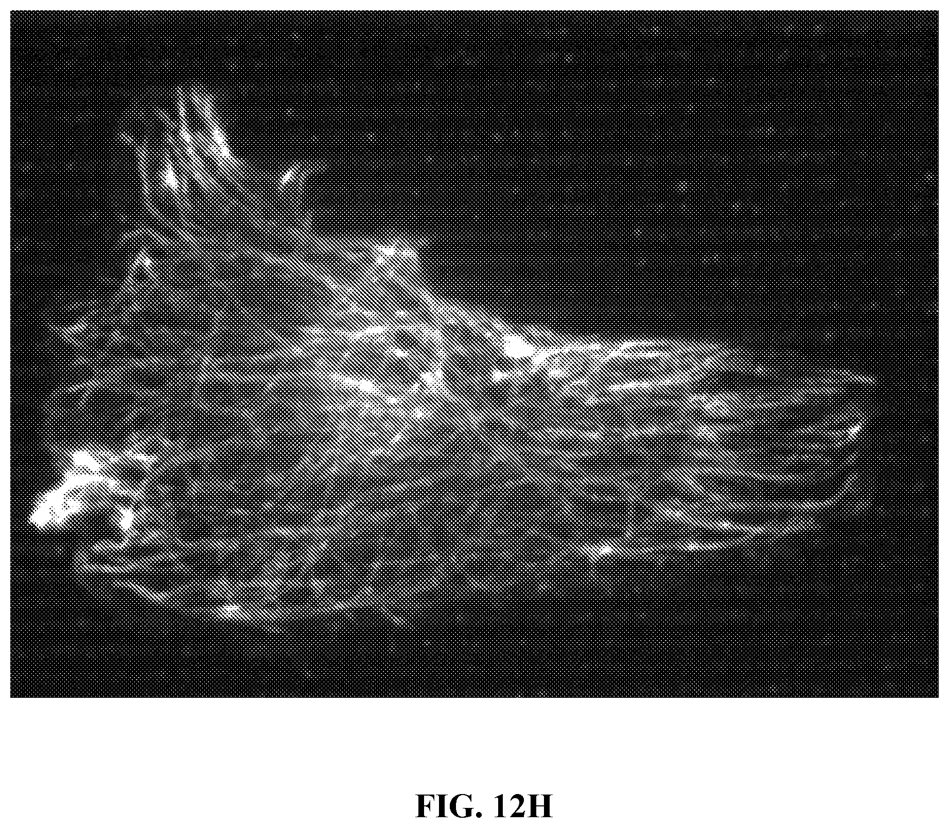 Patent US12472286 Figure 20 – Compositions comprising textured patterns and methods of using the same