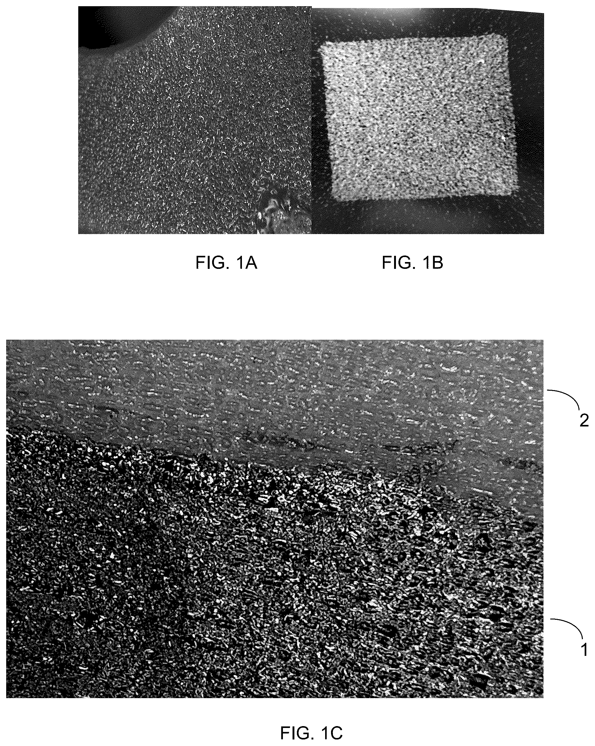 Patent US12472287 Figure 1 – Poroelastic biomaterial for orthopedic devices