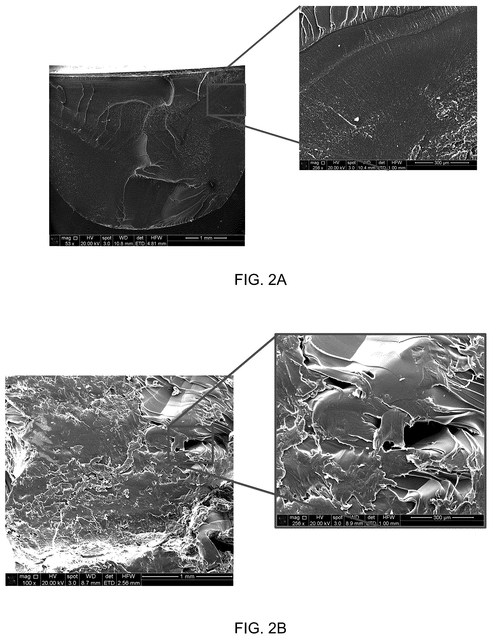 Patent US12472287 Figure 2 – Poroelastic biomaterial for orthopedic devices