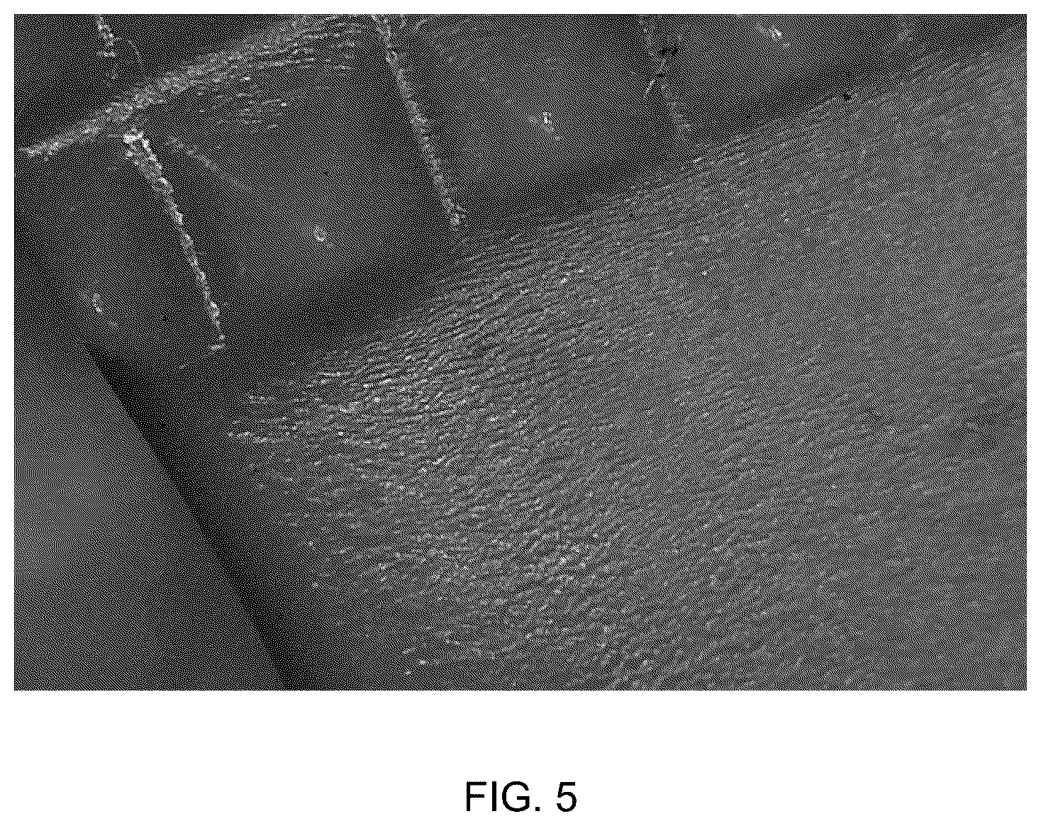 Patent US12472287 Figure 6 – Poroelastic biomaterial for orthopedic devices
