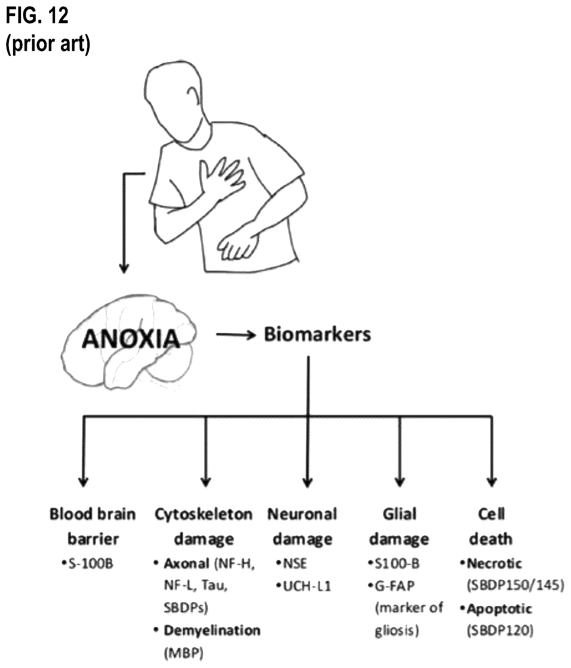 Patent US12472319 Figure 16 – Method and apparatus for prediciting neurological outcome post-cardiac arrest
