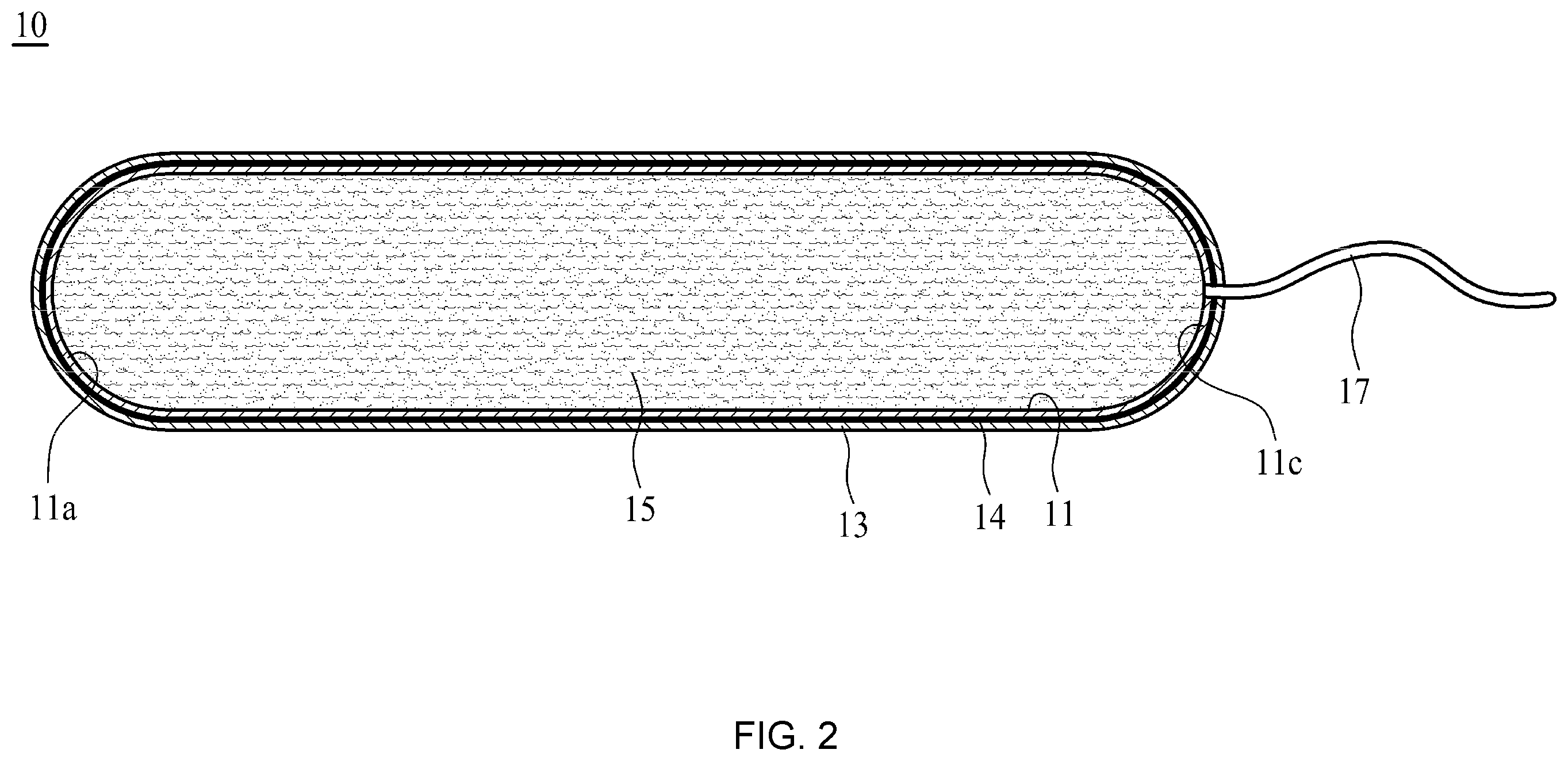 Patent US12472332 Figure 2 – Apparatus and method for inactivating infectious organisms in human body