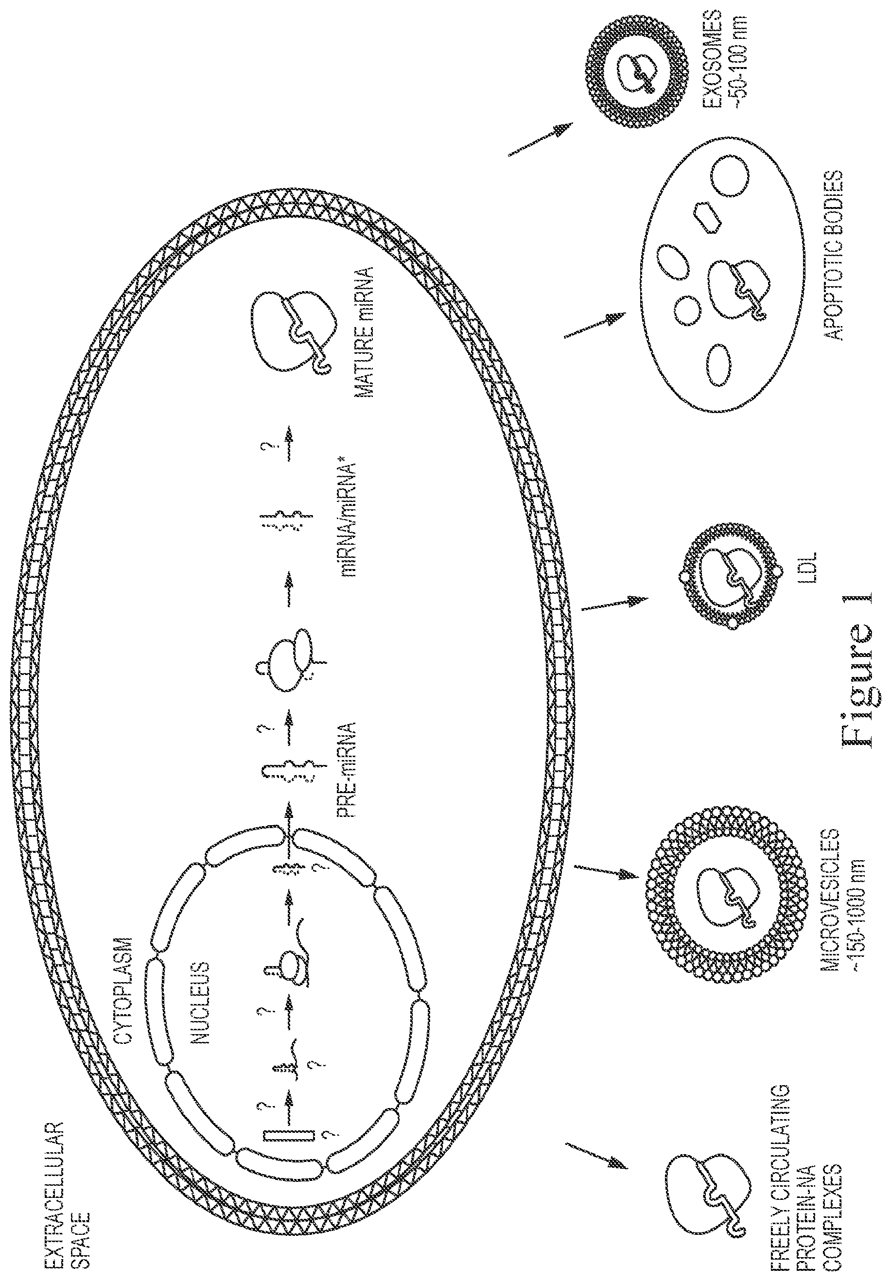 Patent US12472335 Figure 1 – Reduction of bioparticle levels of an organism