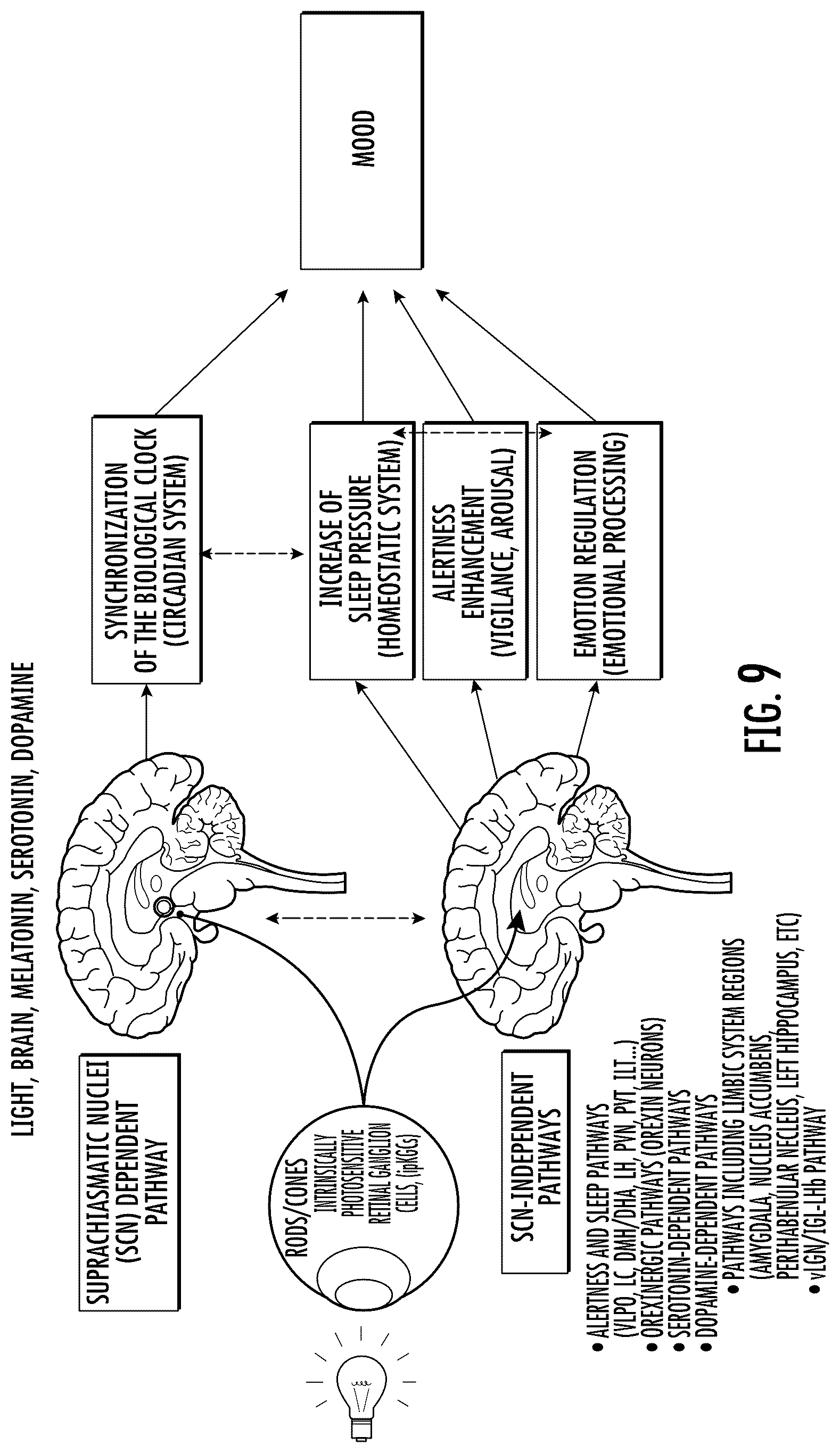 Patent US12472377 Figure 9 – Filtering eyewear and optics for ocular photo-bio-stimulation