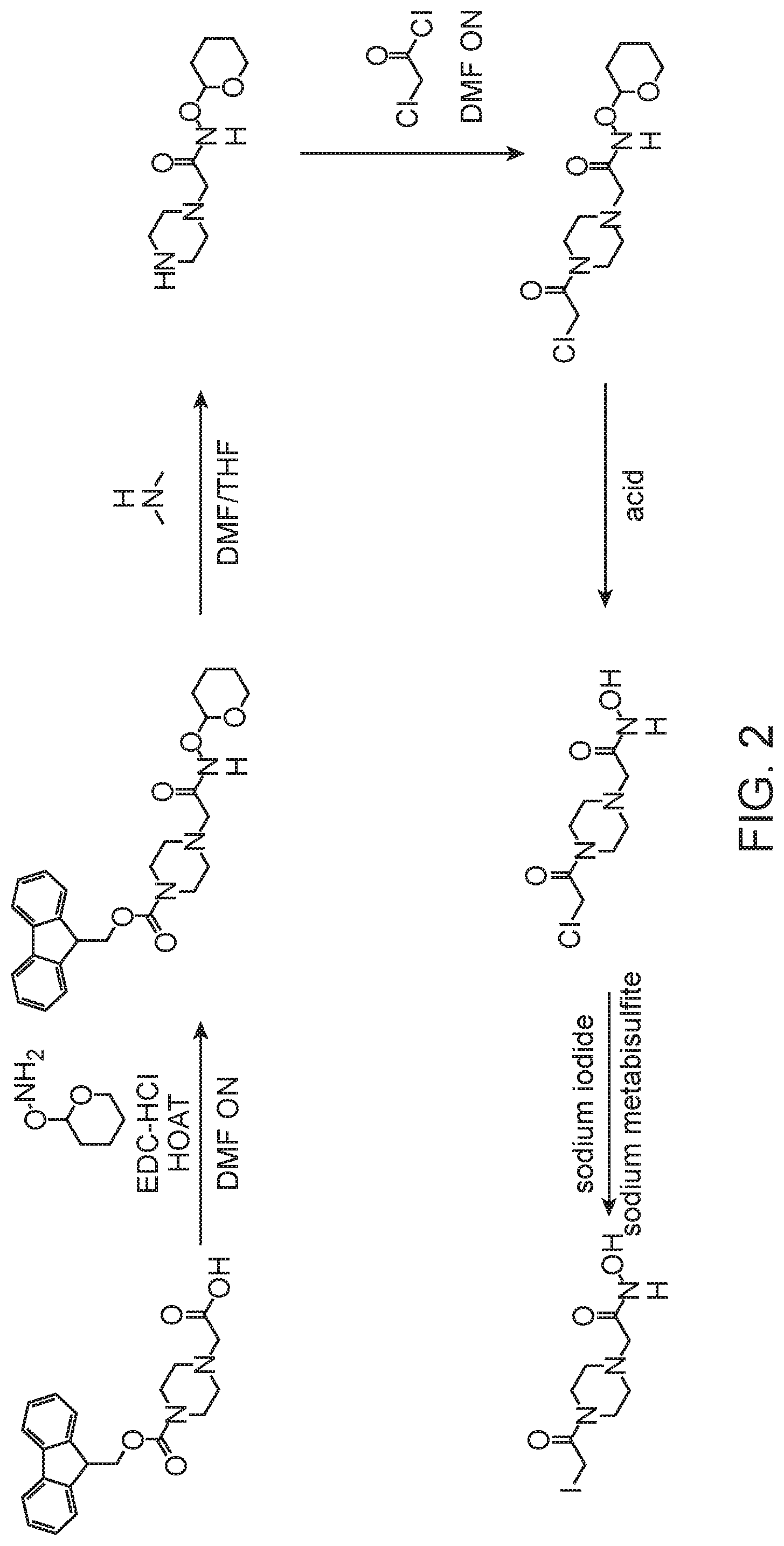Patent US12472448 Figure 3 – Compact hydroxamate-based affinity tags for artificially tagging biological macromolecules