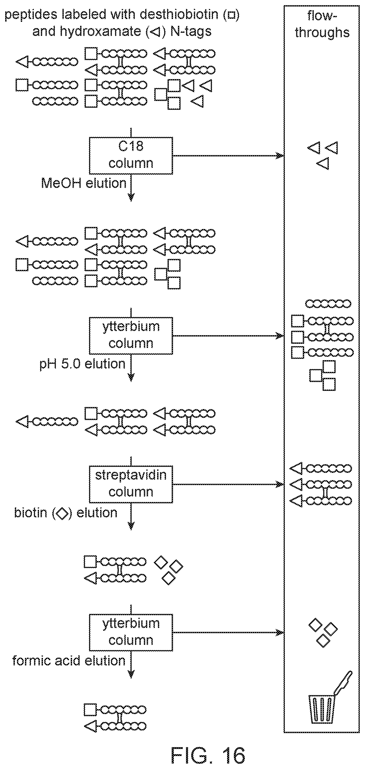 Patent US12472448 Figure 15 – Compact hydroxamate-based affinity tags for artificially tagging biological macromolecules
