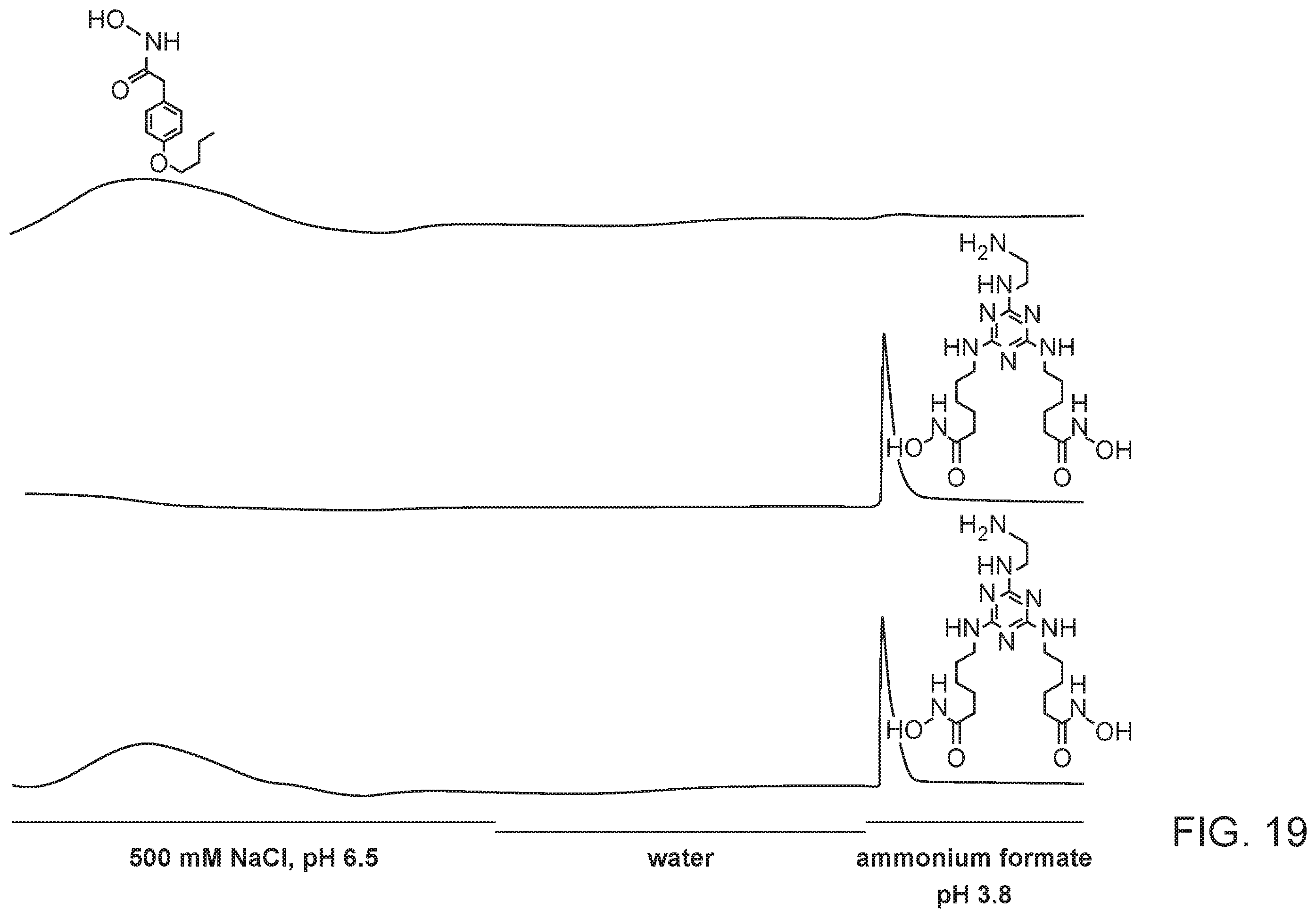 Patent US12472448 Figure 18 – Compact hydroxamate-based affinity tags for artificially tagging biological macromolecules