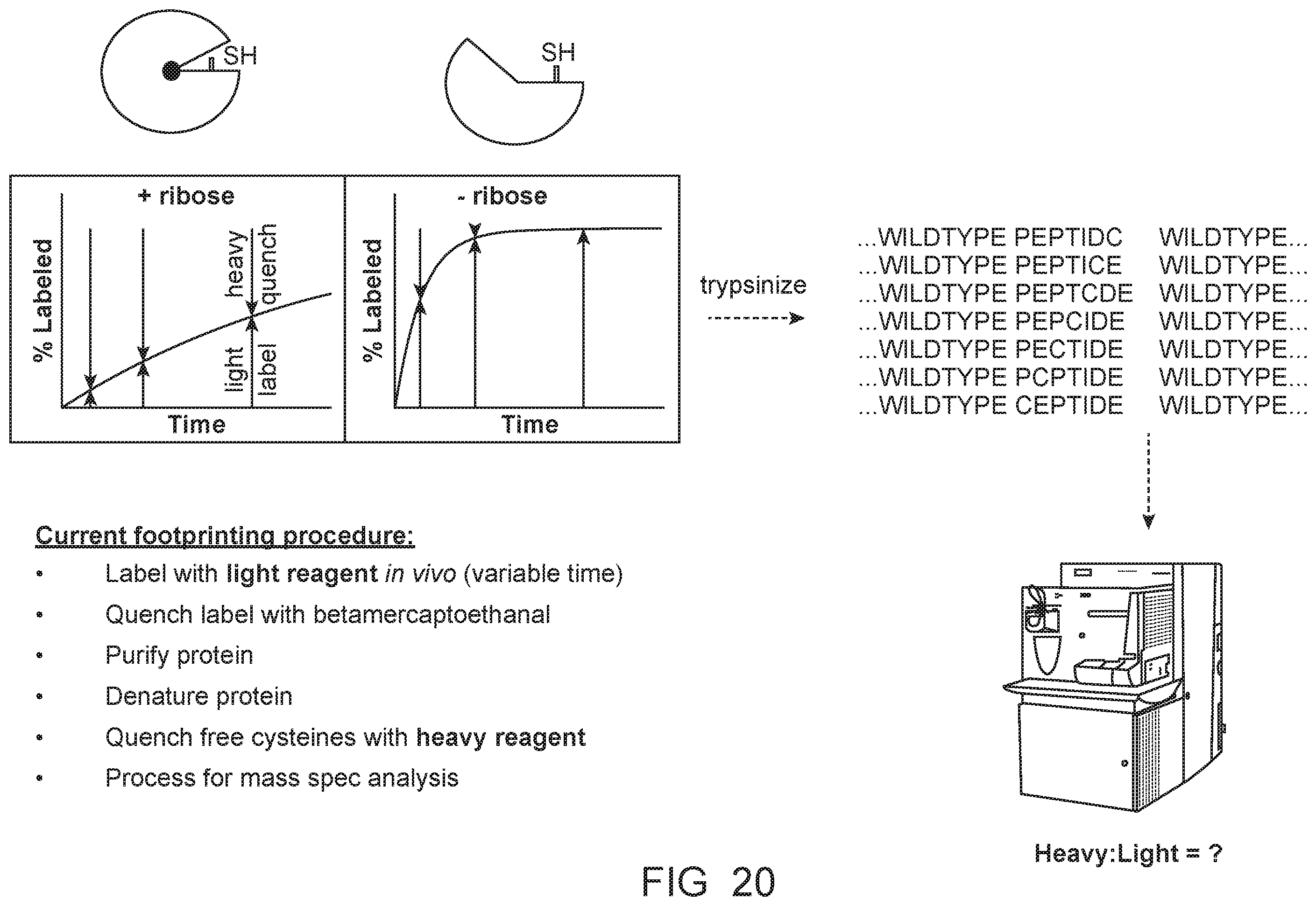 Patent US12472448 Figure 19 – Compact hydroxamate-based affinity tags for artificially tagging biological macromolecules