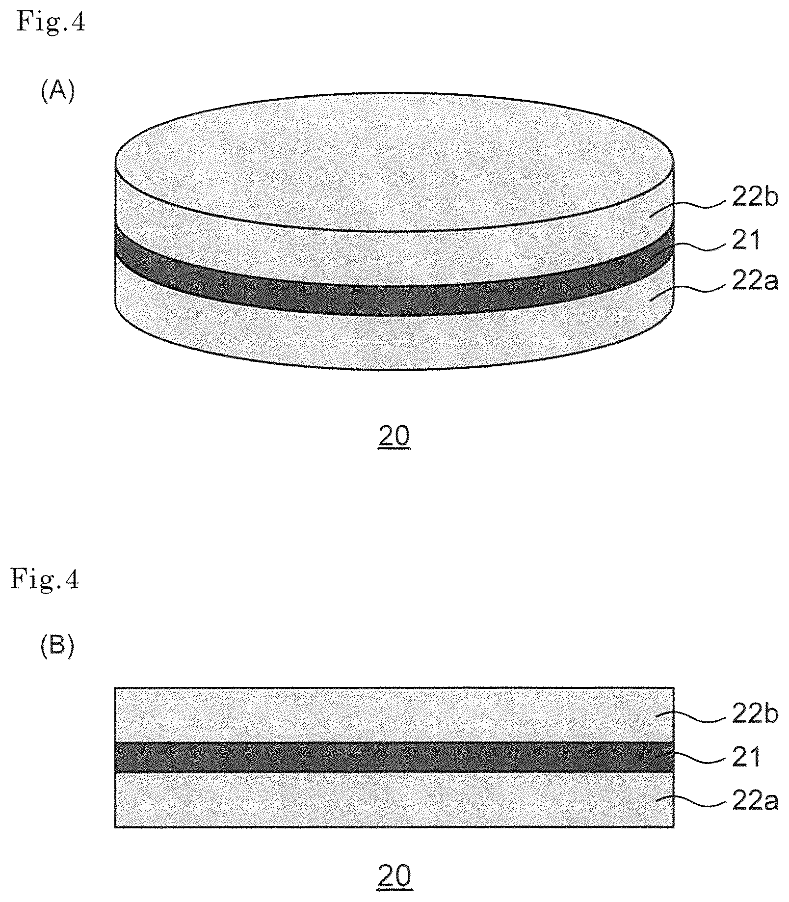Patent US12472451 Figure 4 – Composite fiber