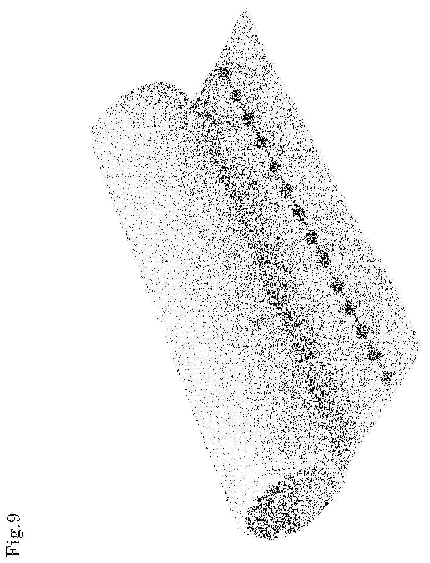 Patent US12472451 Figure 9 – Composite fiber