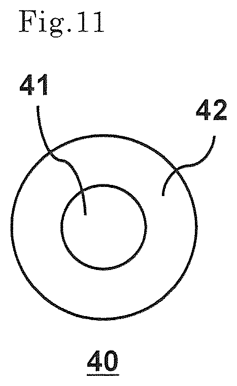 Patent US12472451 Figure 11 – Composite fiber
