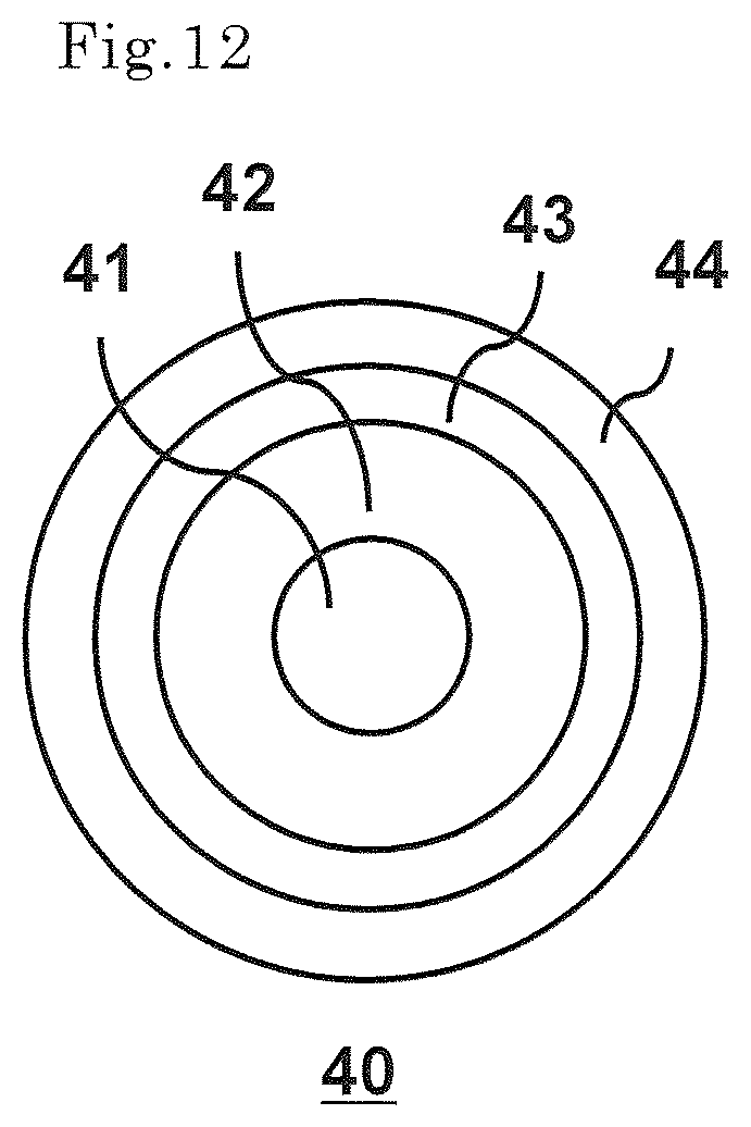 Patent US12472451 Figure 12 – Composite fiber