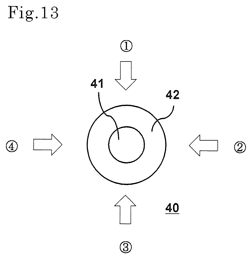 Patent US12472451 Figure 13 – Composite fiber