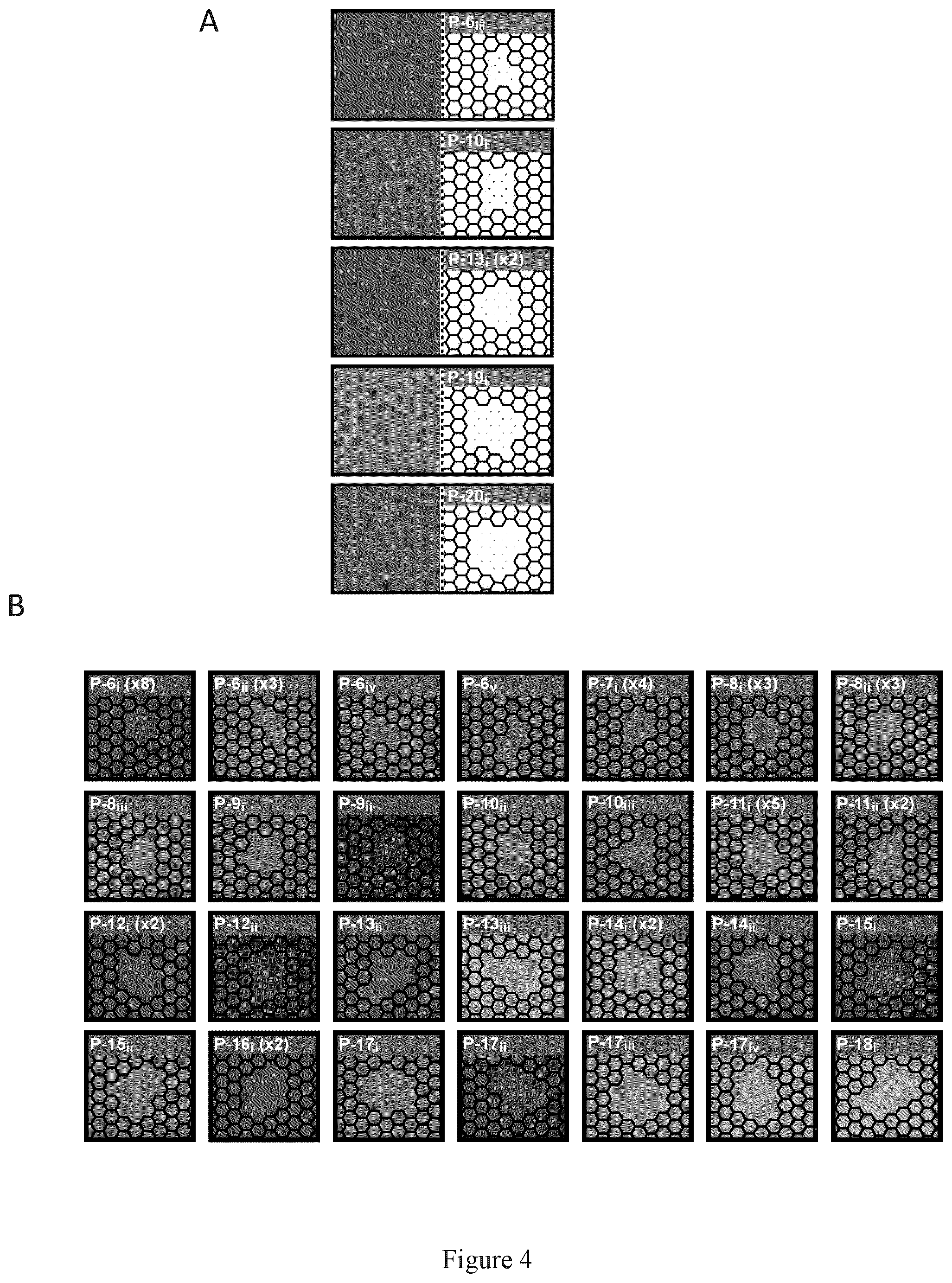 Patent US12472473 Figure 6 – Process for graphene membranes lattice engineering and uses thereof