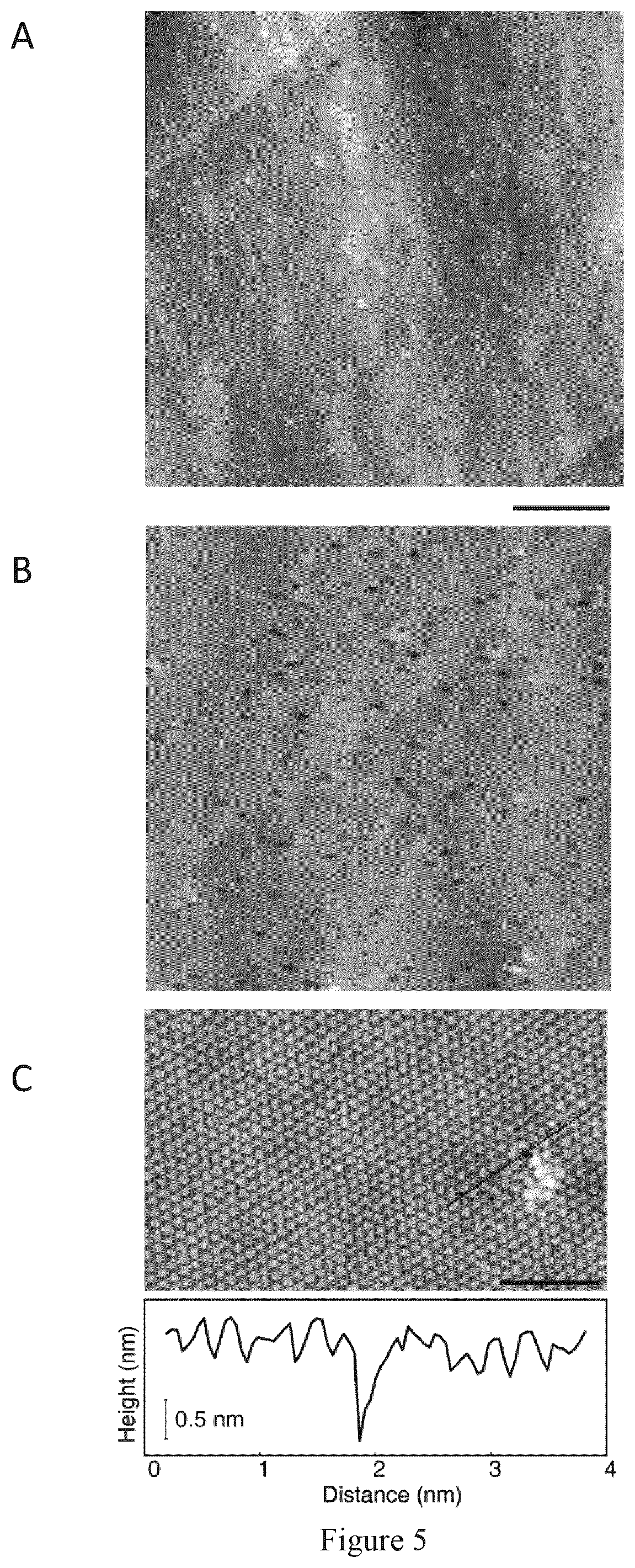 Patent US12472473 Figure 8 – Process for graphene membranes lattice engineering and uses thereof