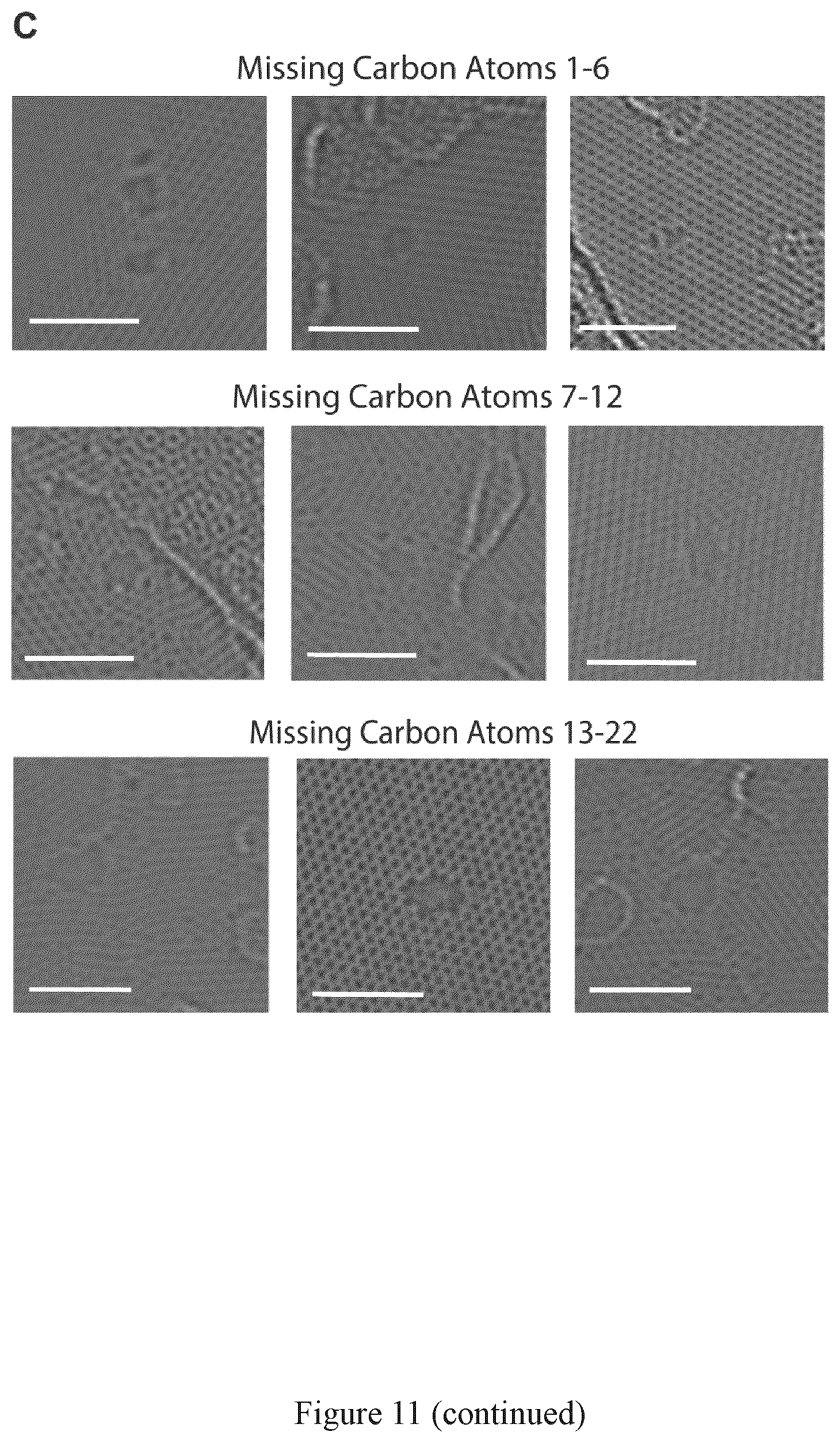 Patent US12472473 Figure 18 – Process for graphene membranes lattice engineering and uses thereof