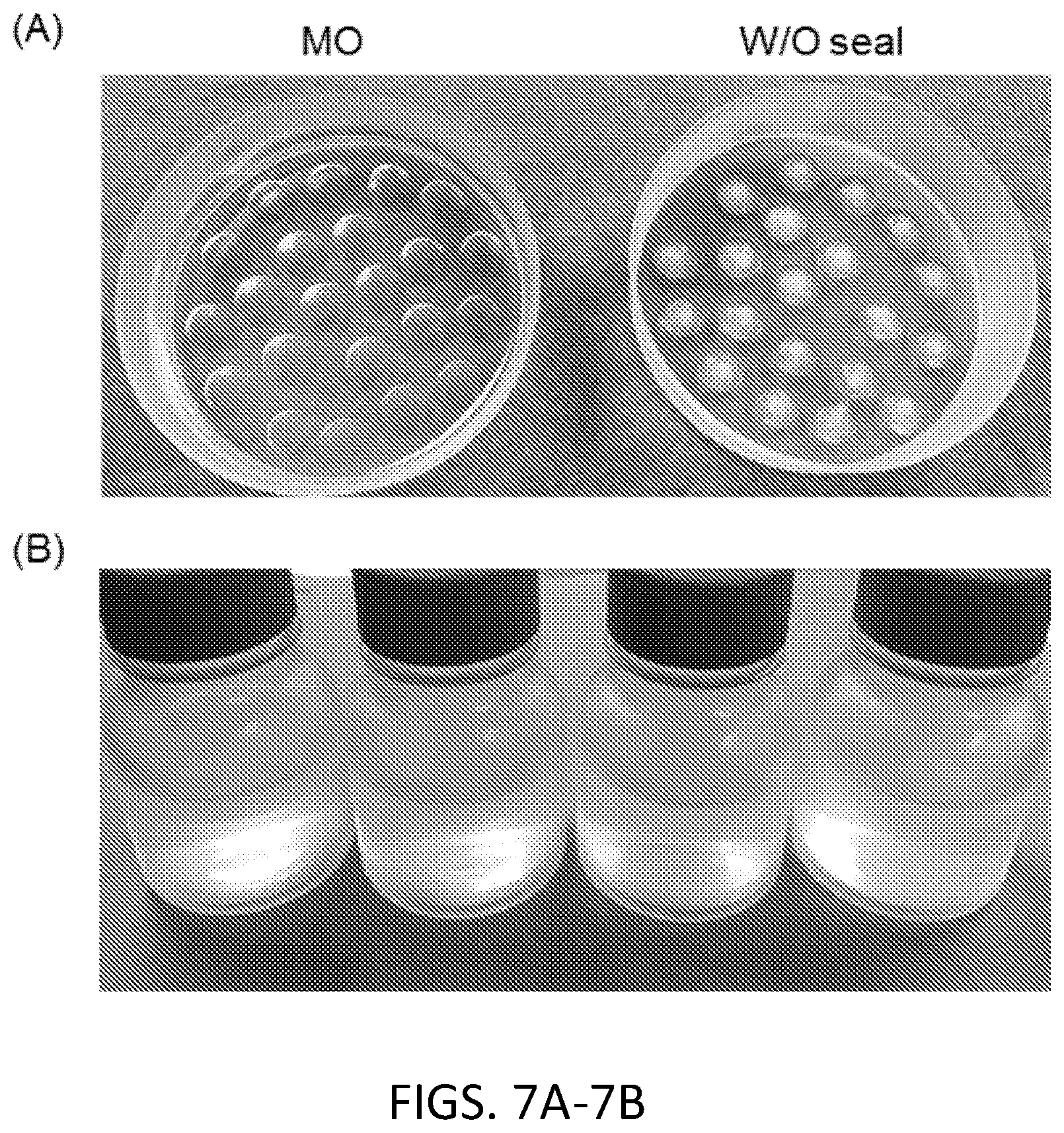 Patent US12472475 Figure 7 – Methods of supercooling aqueous samples