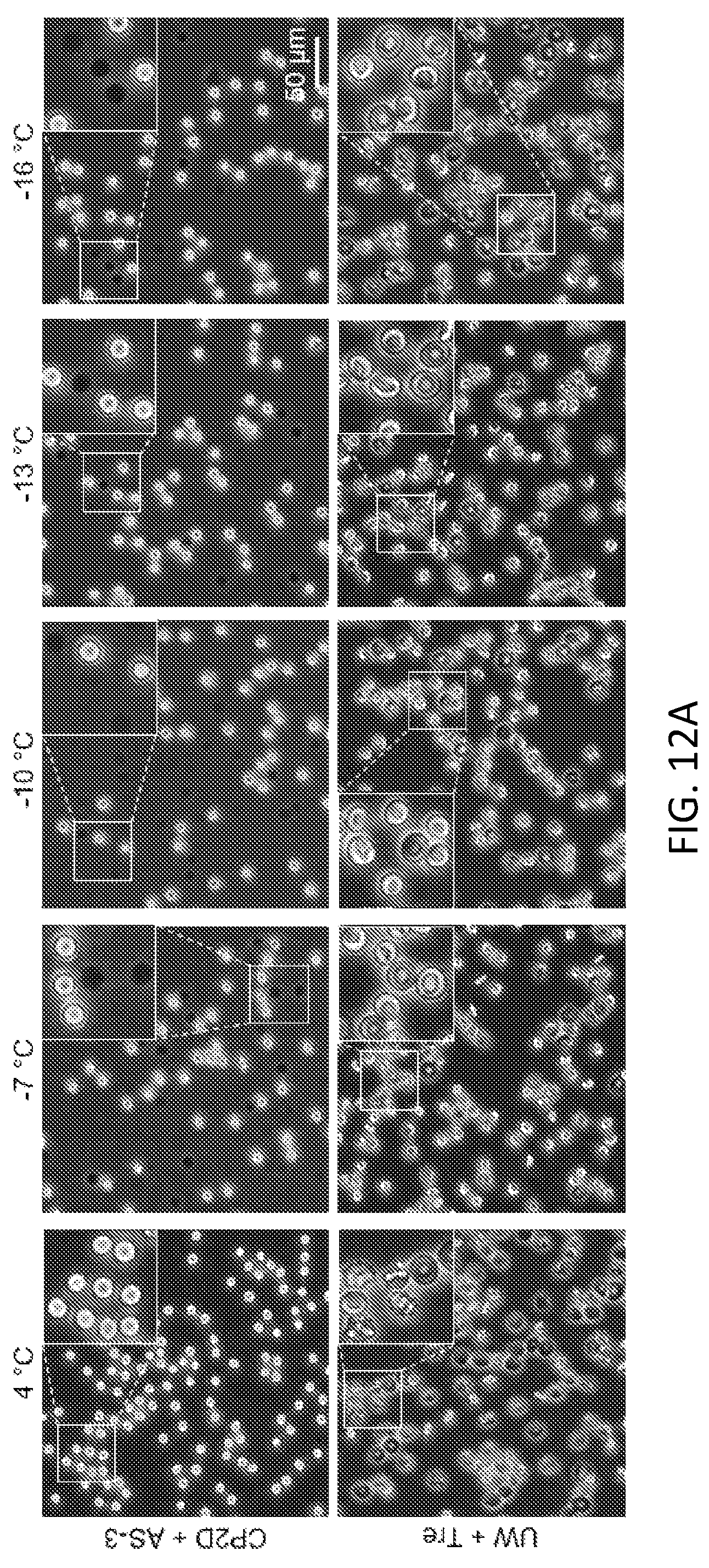 Patent US12472475 Figure 12 – Methods of supercooling aqueous samples