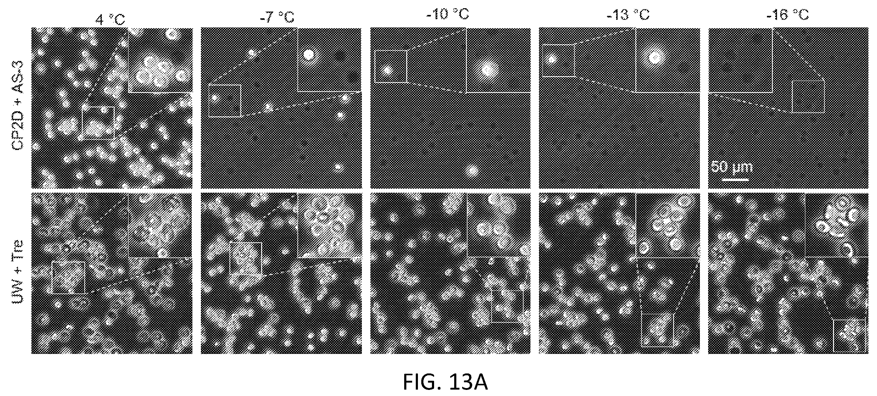 Patent US12472475 Figure 14 – Methods of supercooling aqueous samples