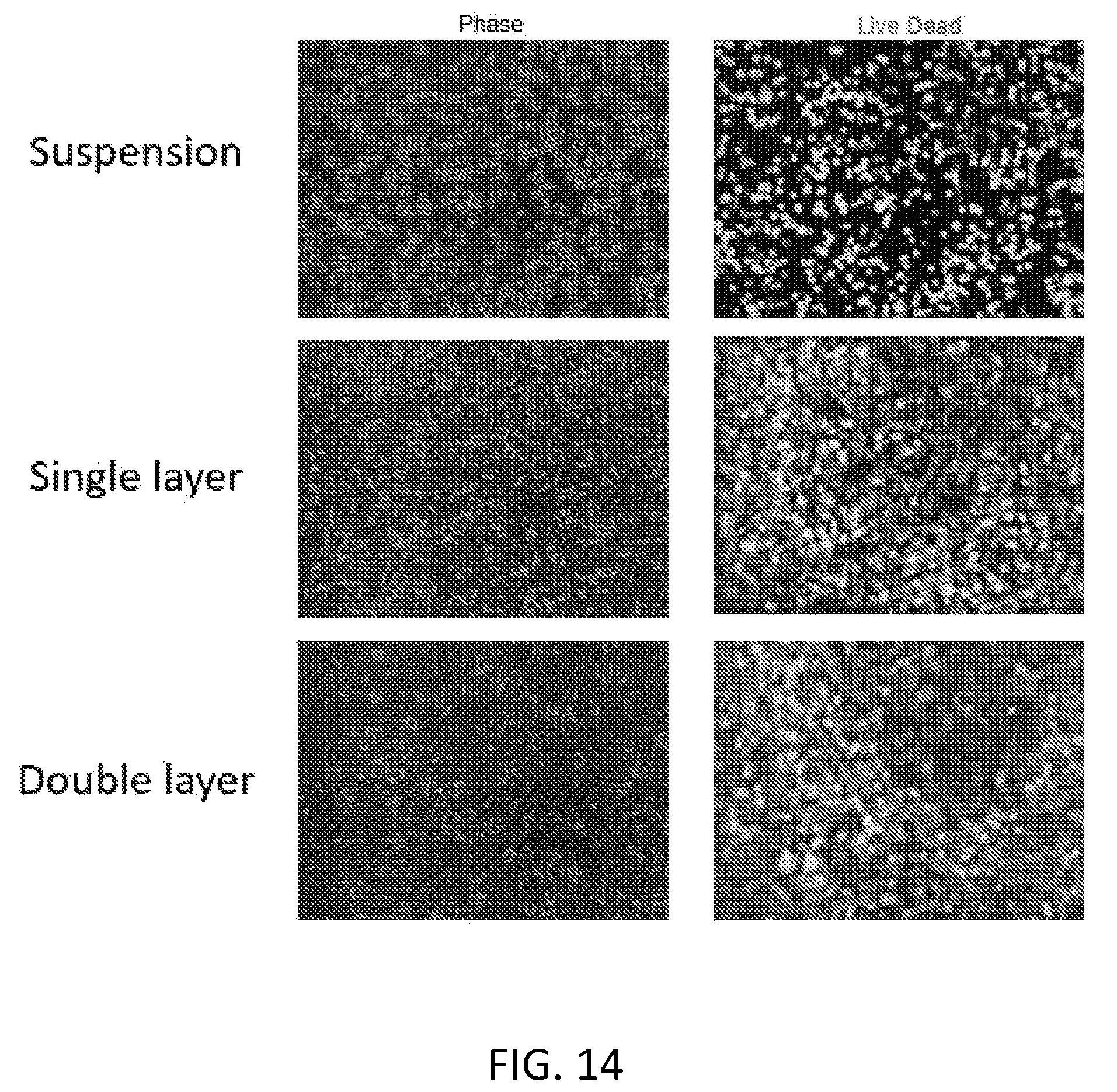 Patent US12472475 Figure 16 – Methods of supercooling aqueous samples
