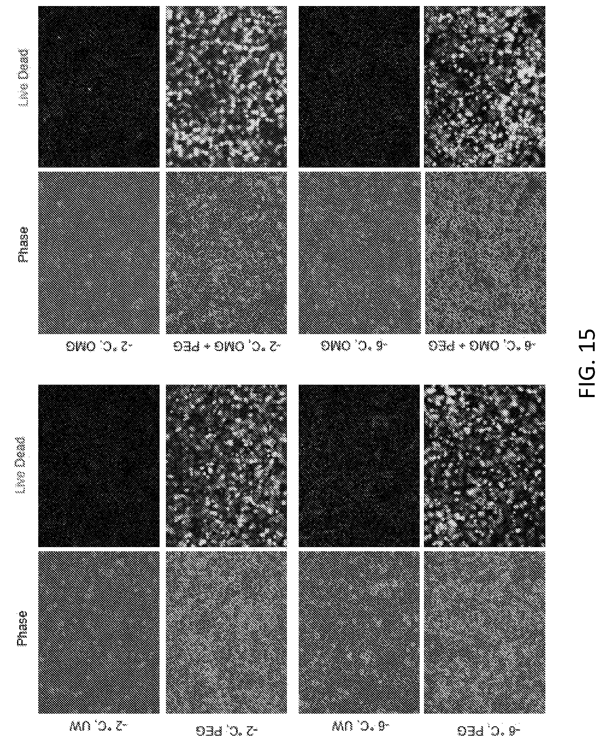 Patent US12472475 Figure 17 – Methods of supercooling aqueous samples