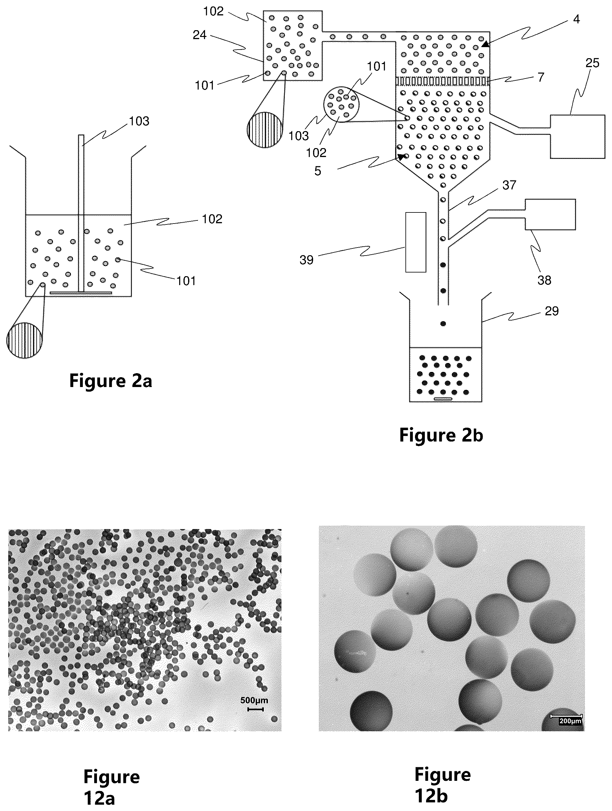 Patent US12472479 Figure 2 – Capsules with a hydrogel matrix