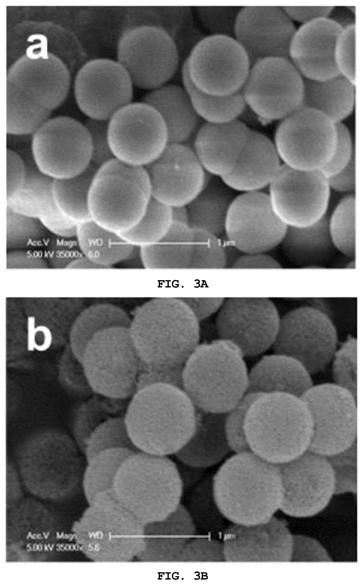 Patent US12472484 Figure 5 – Water-splitting hydrogen production photocatalyst including spatially separated cocatalyst and method for producing same