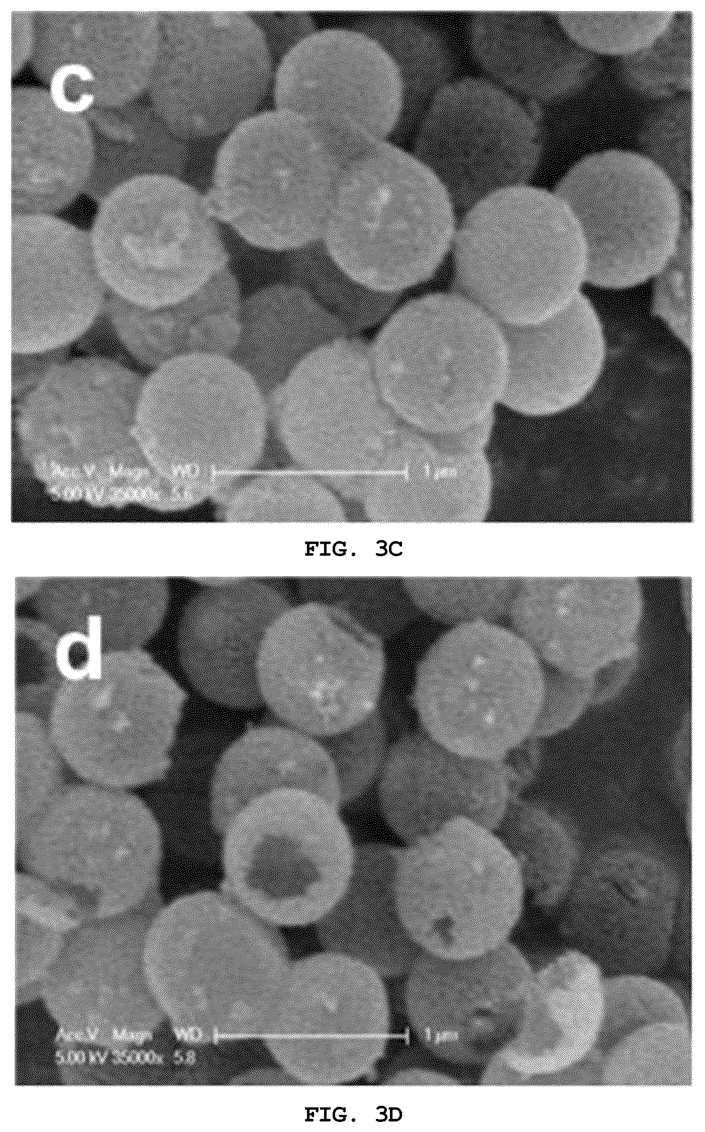 Patent US12472484 Figure 6 – Water-splitting hydrogen production photocatalyst including spatially separated cocatalyst and method for producing same