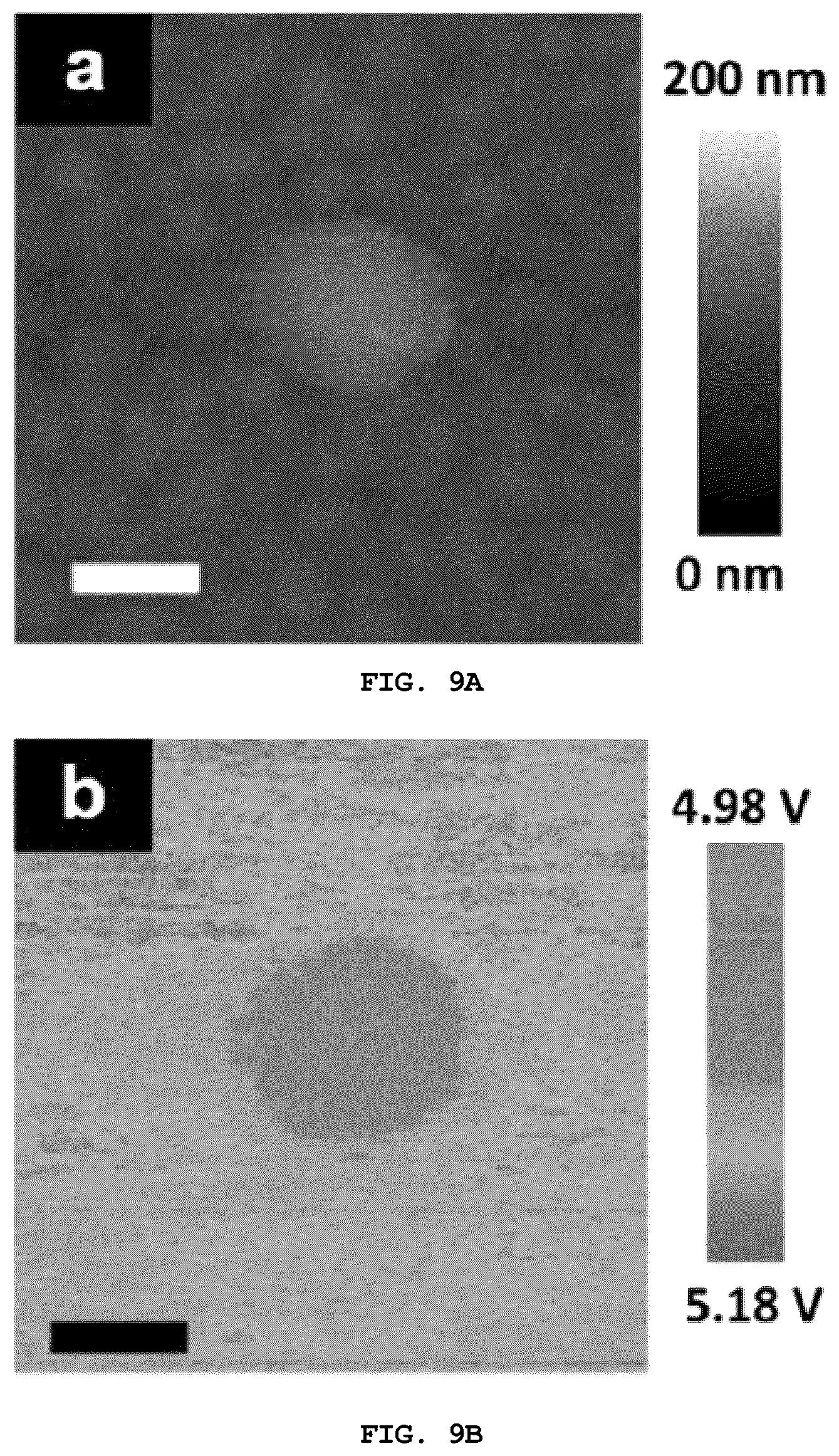 Patent US12472484 Figure 19 – Water-splitting hydrogen production photocatalyst including spatially separated cocatalyst and method for producing same