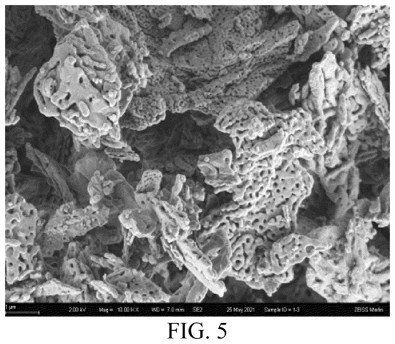 Patent US12472489 Figure 3 – Catalyst granules used in olefin disproportionation reaction and preparation method therefor