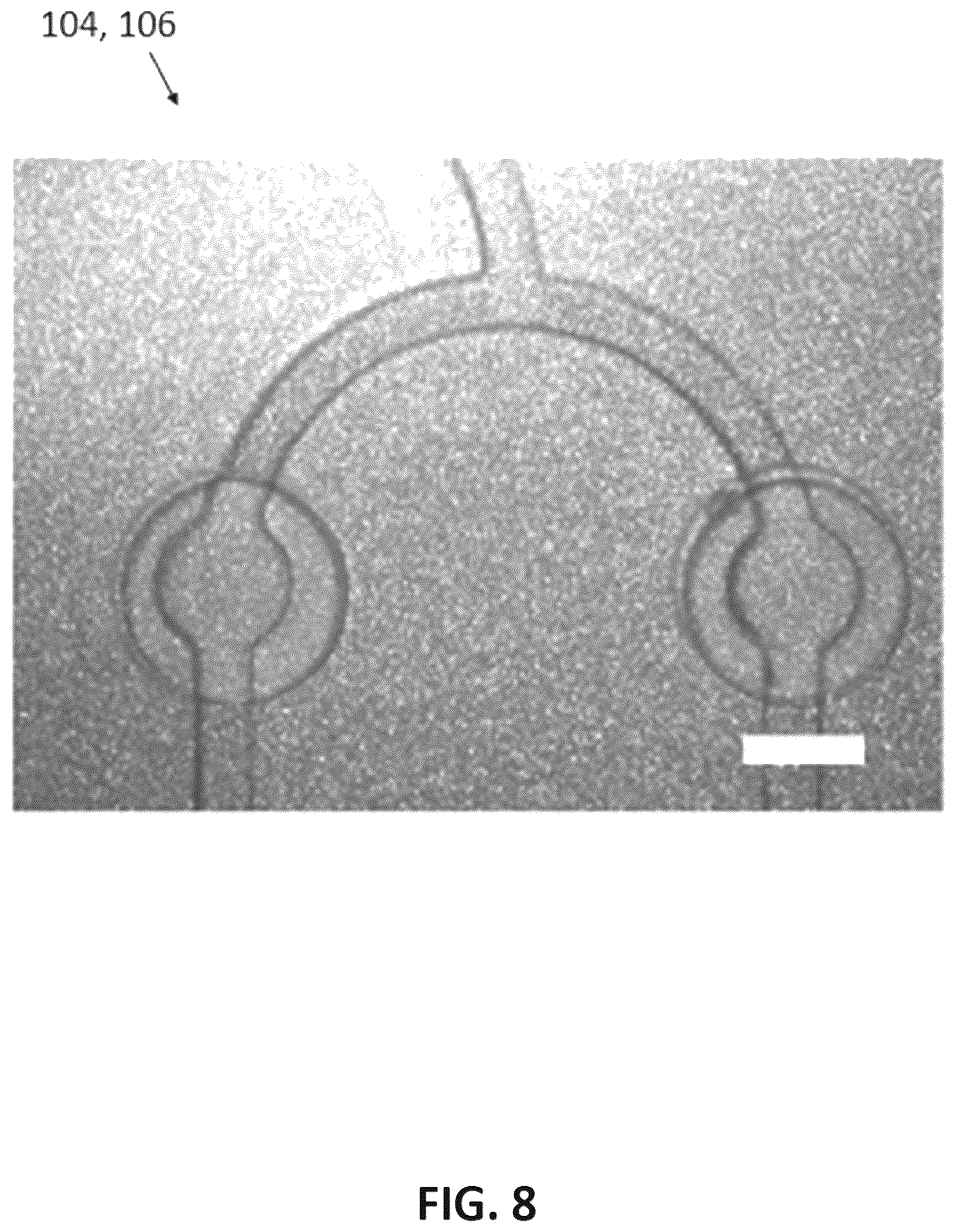 Patent US12472495 Figure 8 – Microfluidic device for live cell manipulation and analysis