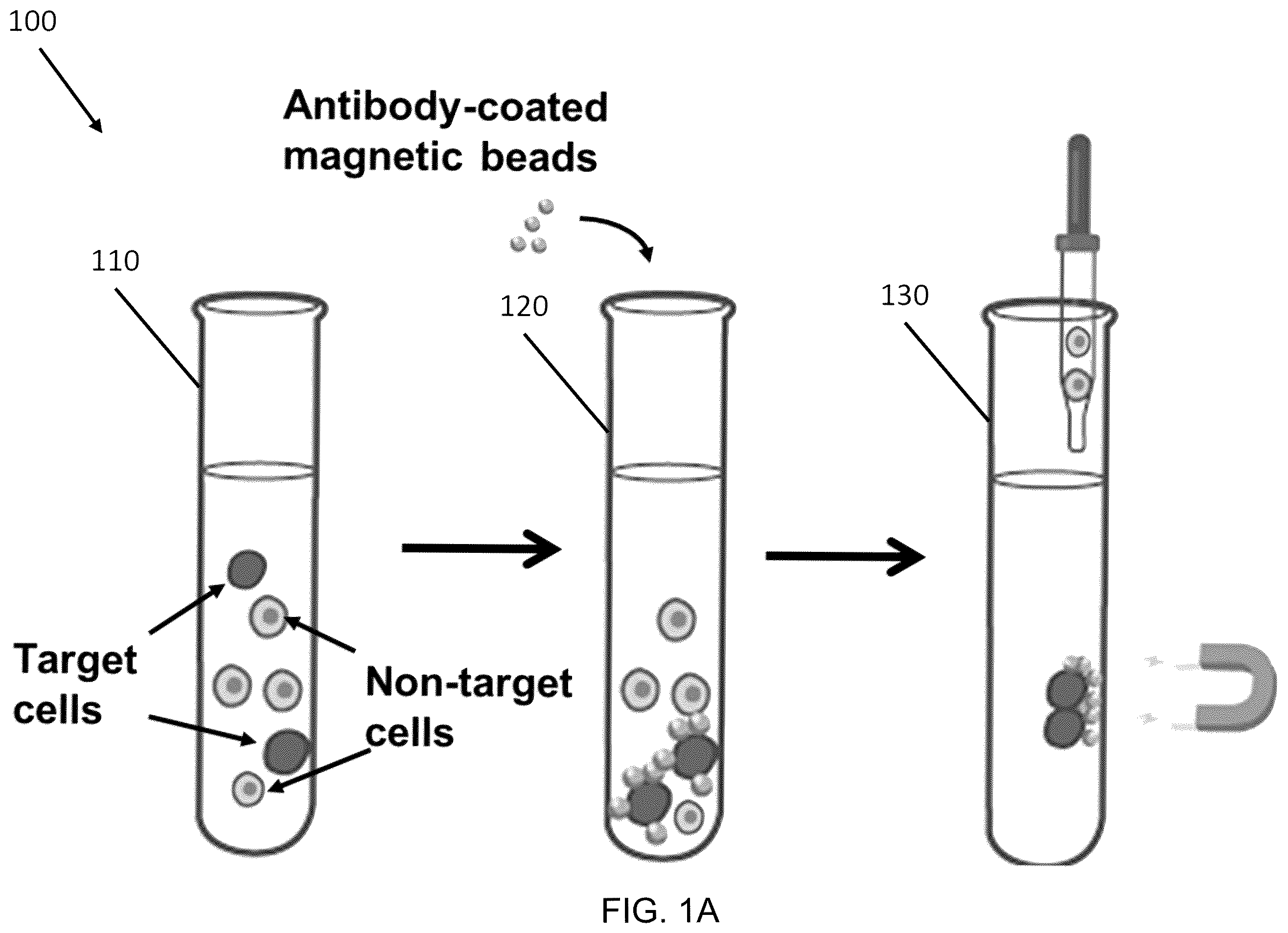 Patent US12472501 Figure 1 – Magnetic system for detection and sorting of cells