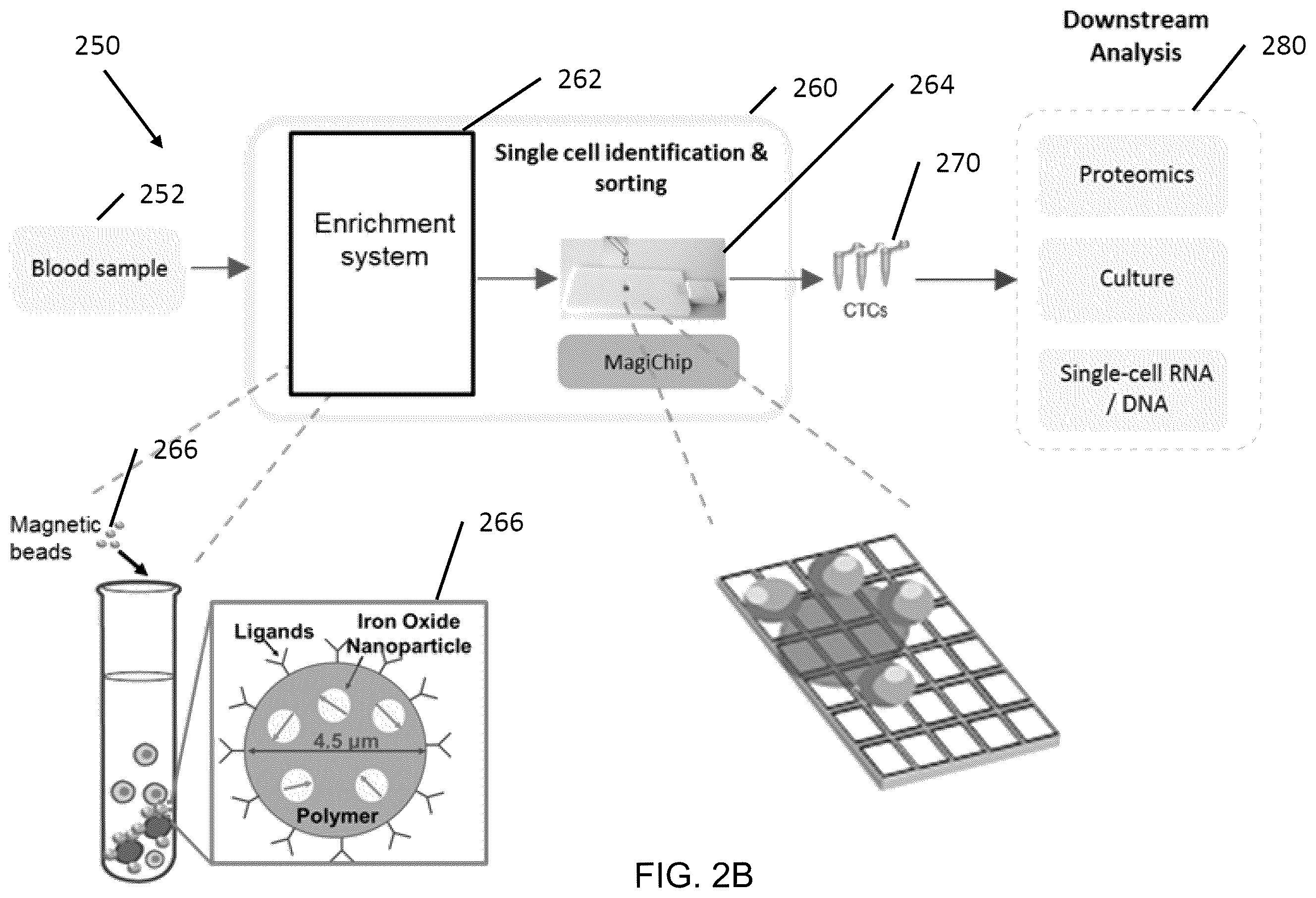 Patent US12472501 Figure 5 – Magnetic system for detection and sorting of cells