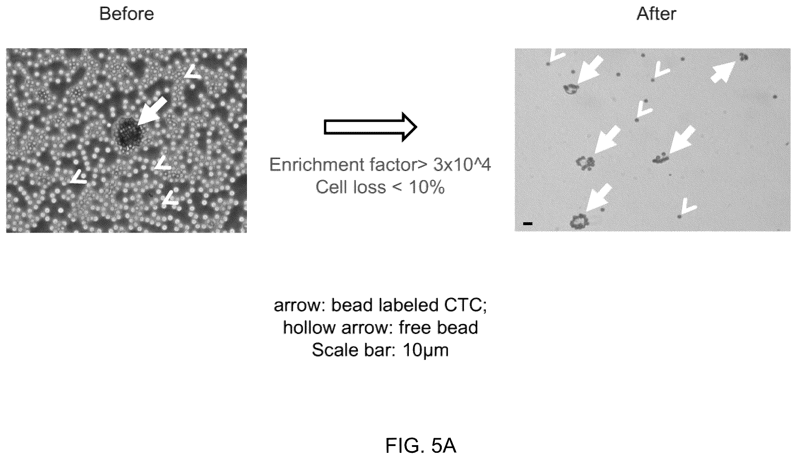 Patent US12472501 Figure 16 – Magnetic system for detection and sorting of cells