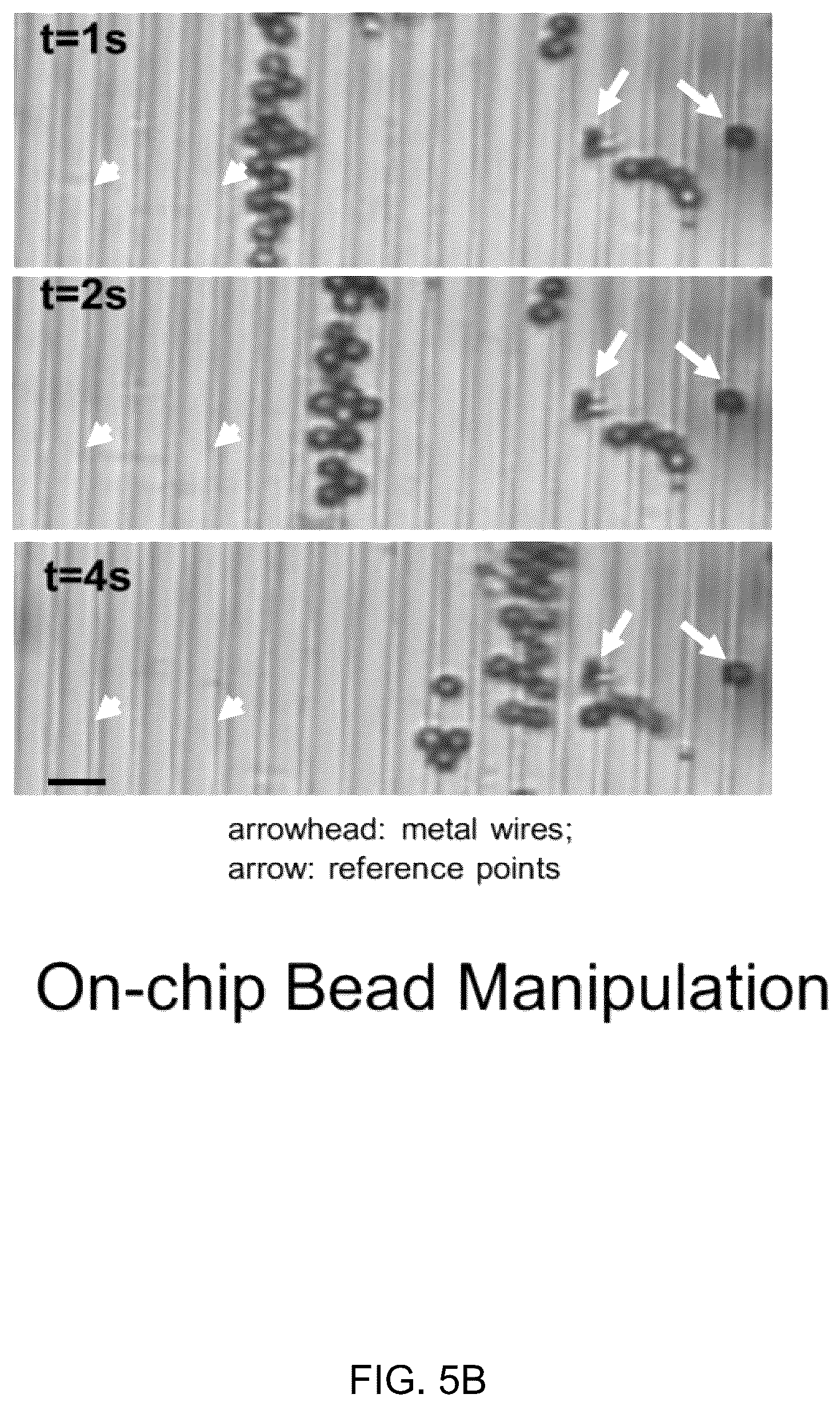 Patent US12472501 Figure 17 – Magnetic system for detection and sorting of cells