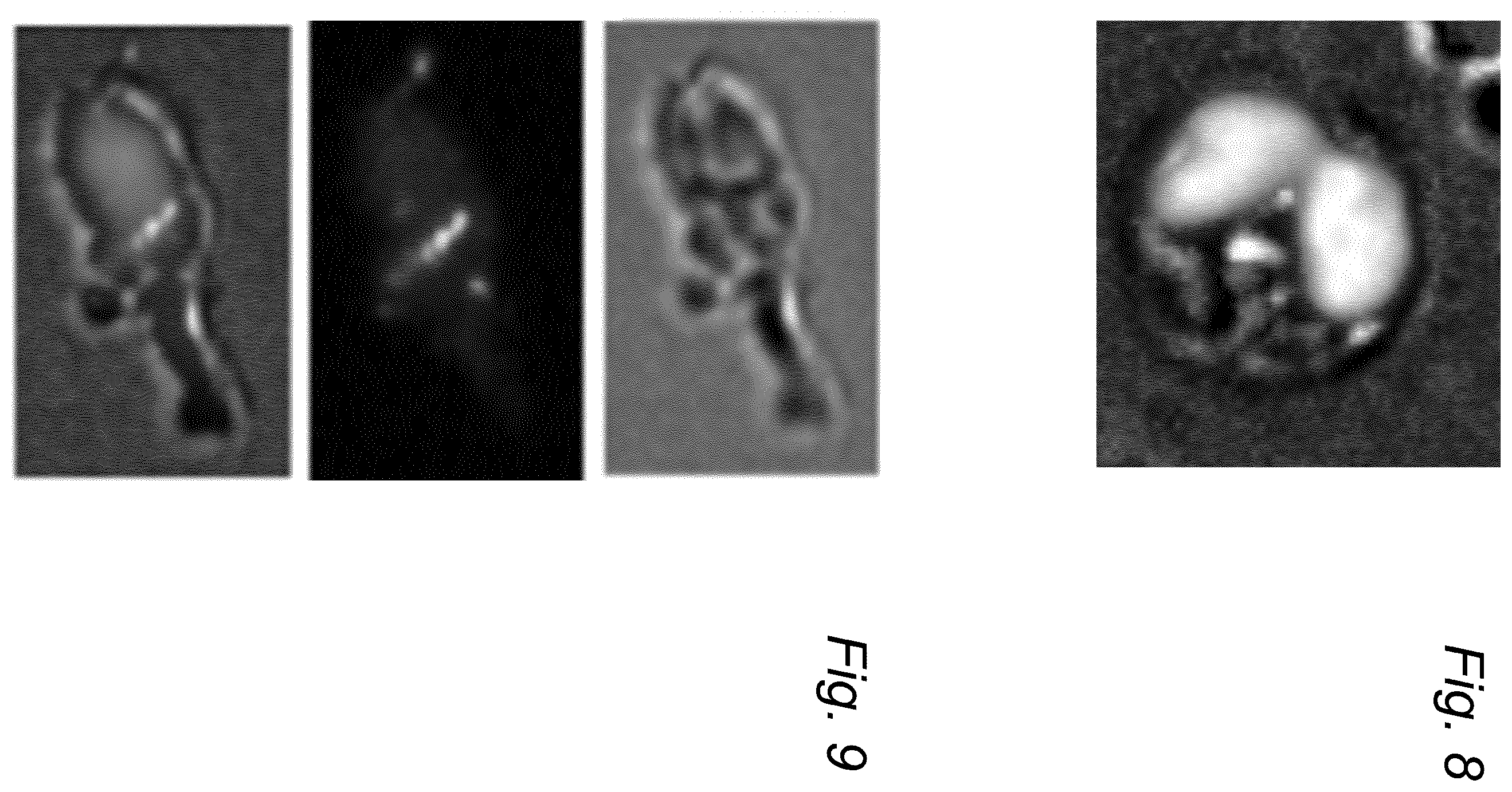 Patent US12472508 Figure 6 – Method and apparatus for isolating desired cells from suspensions with non-magnetic biological materials