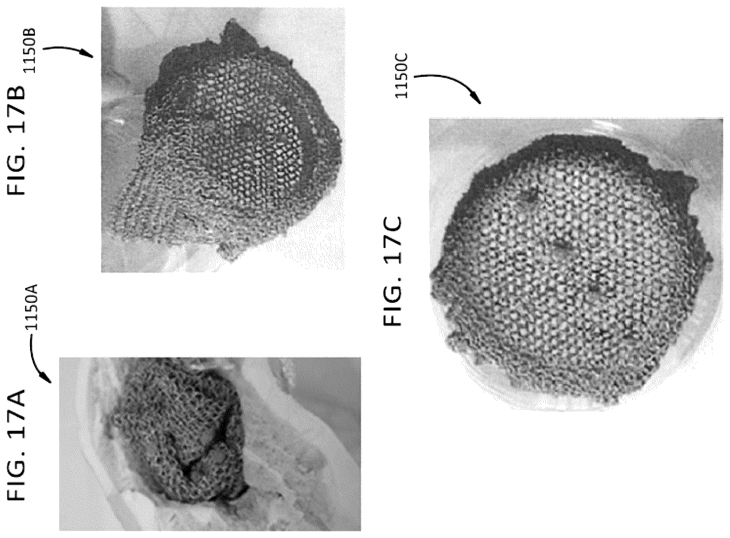 Patent US12472679 Figure 13 – Porous structures produced by additive layer manufacturing