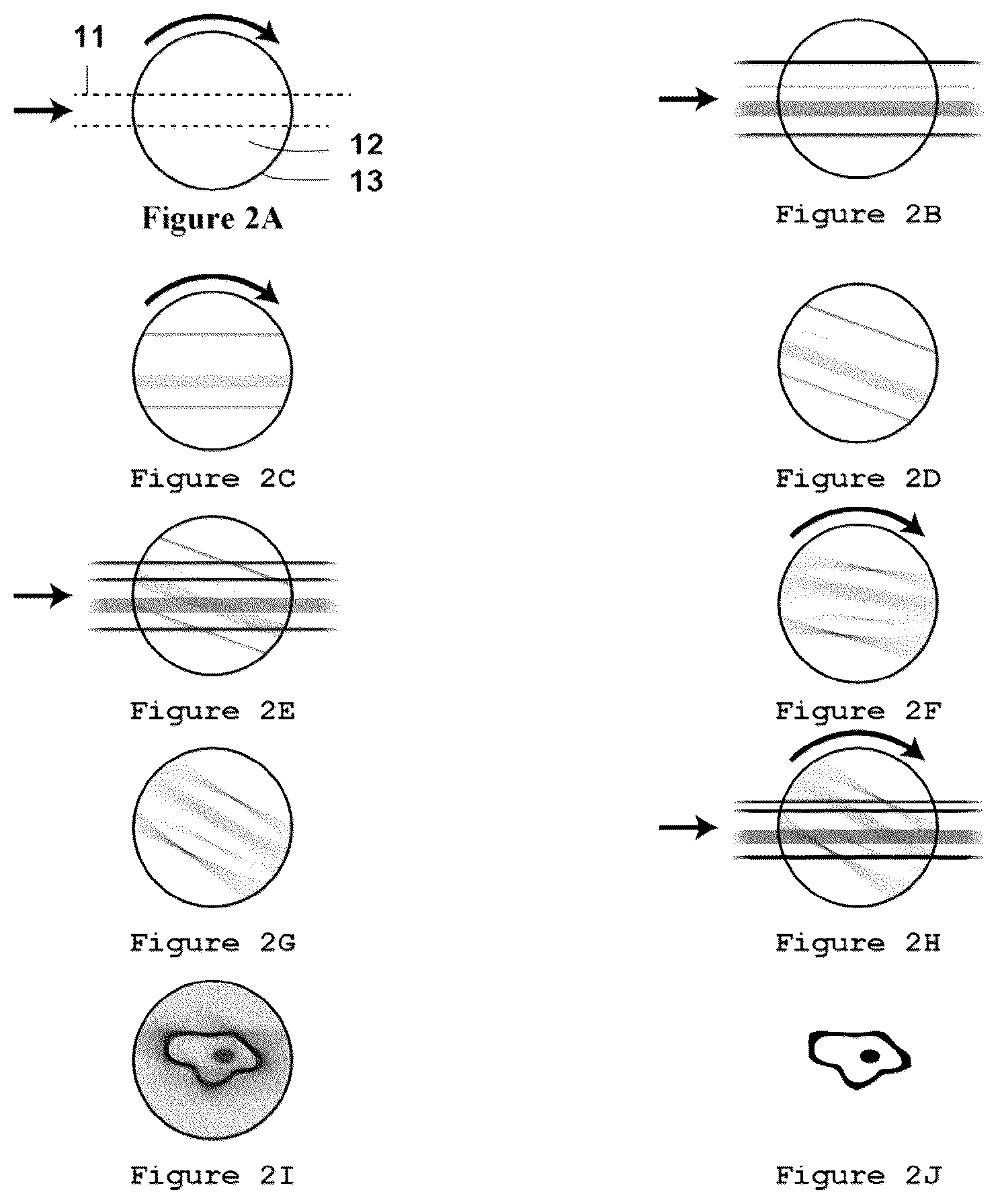 Patent US12472686 Figure 2 – Method and apparatus for volumetric additive manufacturing of cell-loaded resins