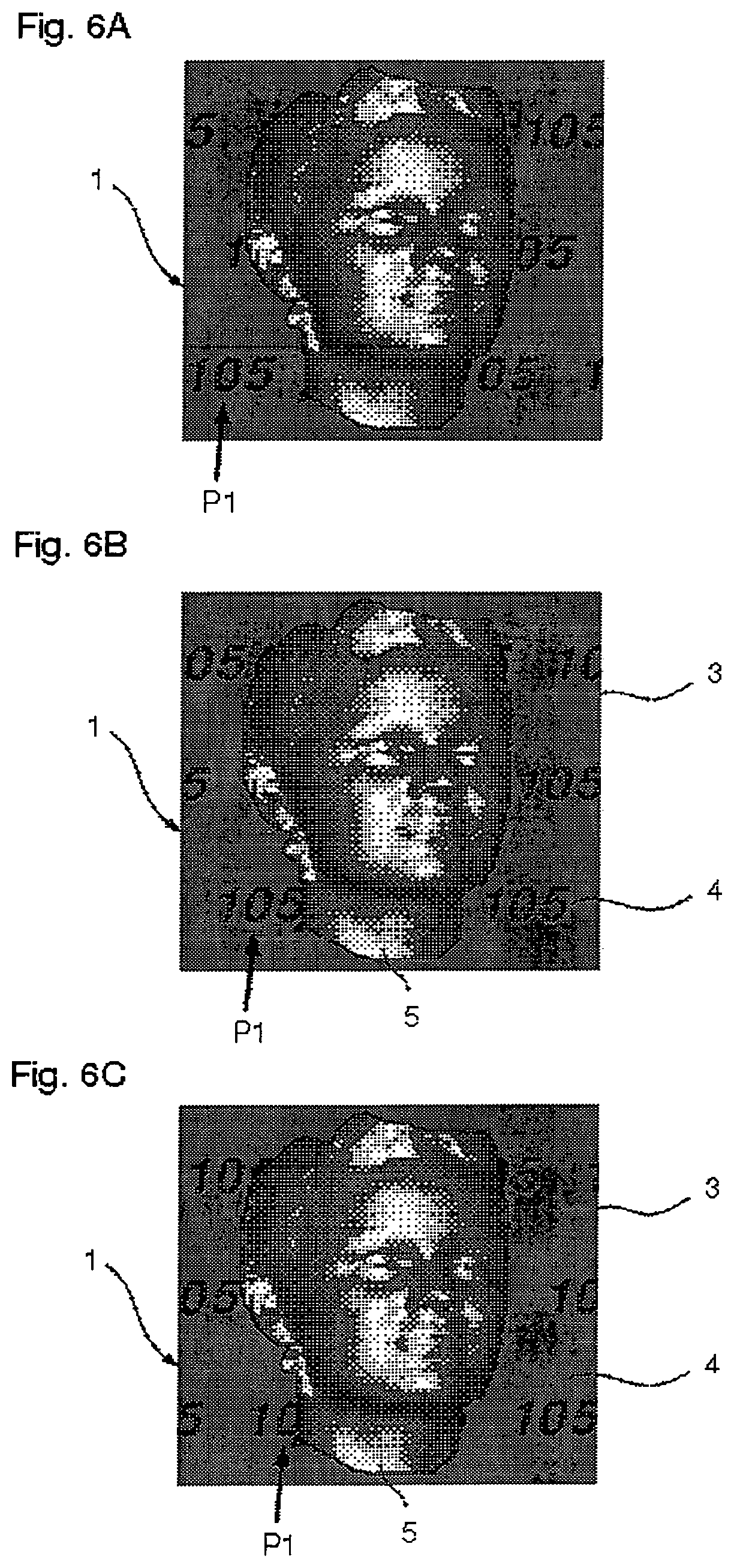 Patent US12472763 Figure 3 – Security element as well as value document having such a security element