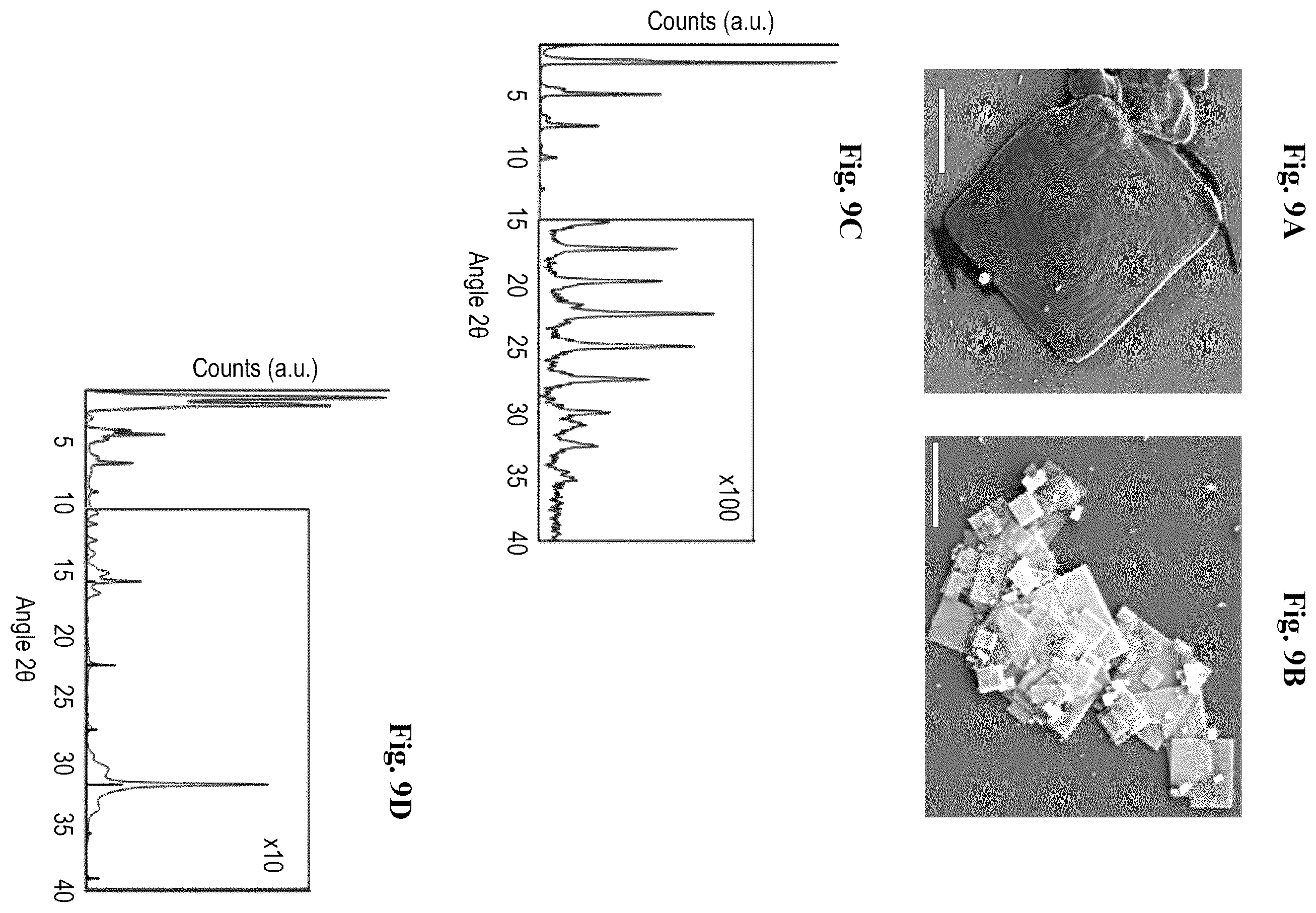 Patent US12479739 Figure 9 – Two-dimensional lead-free double perovskite and uses thereof