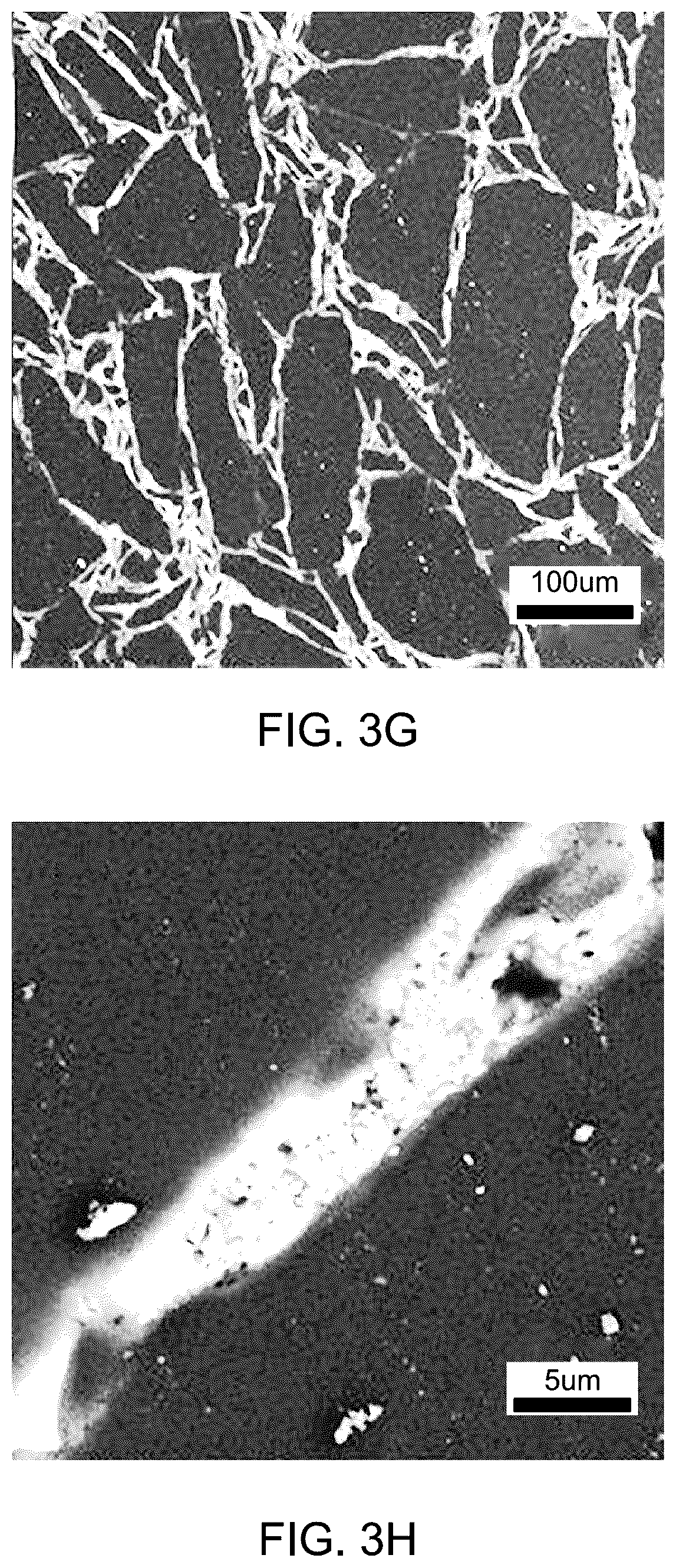 Patent US12479758 Figure 6 – Development of oxynitride glass-ceramics preparations and uses thereof